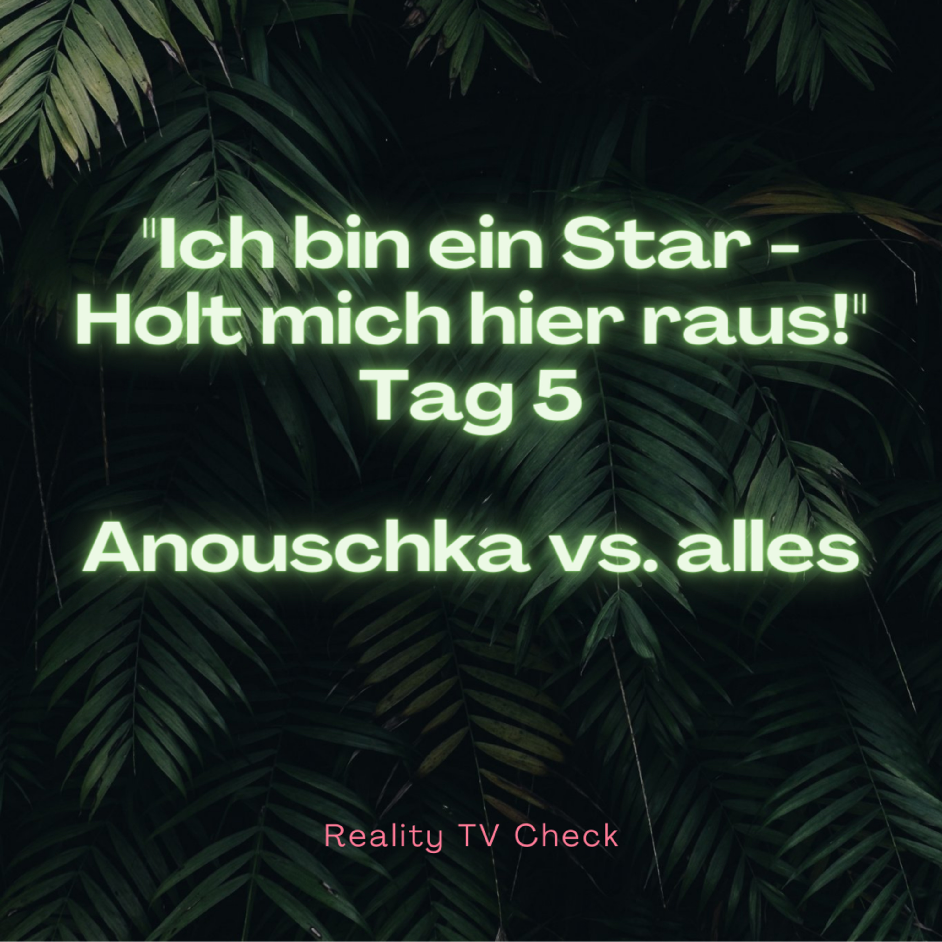 Reality TV Check