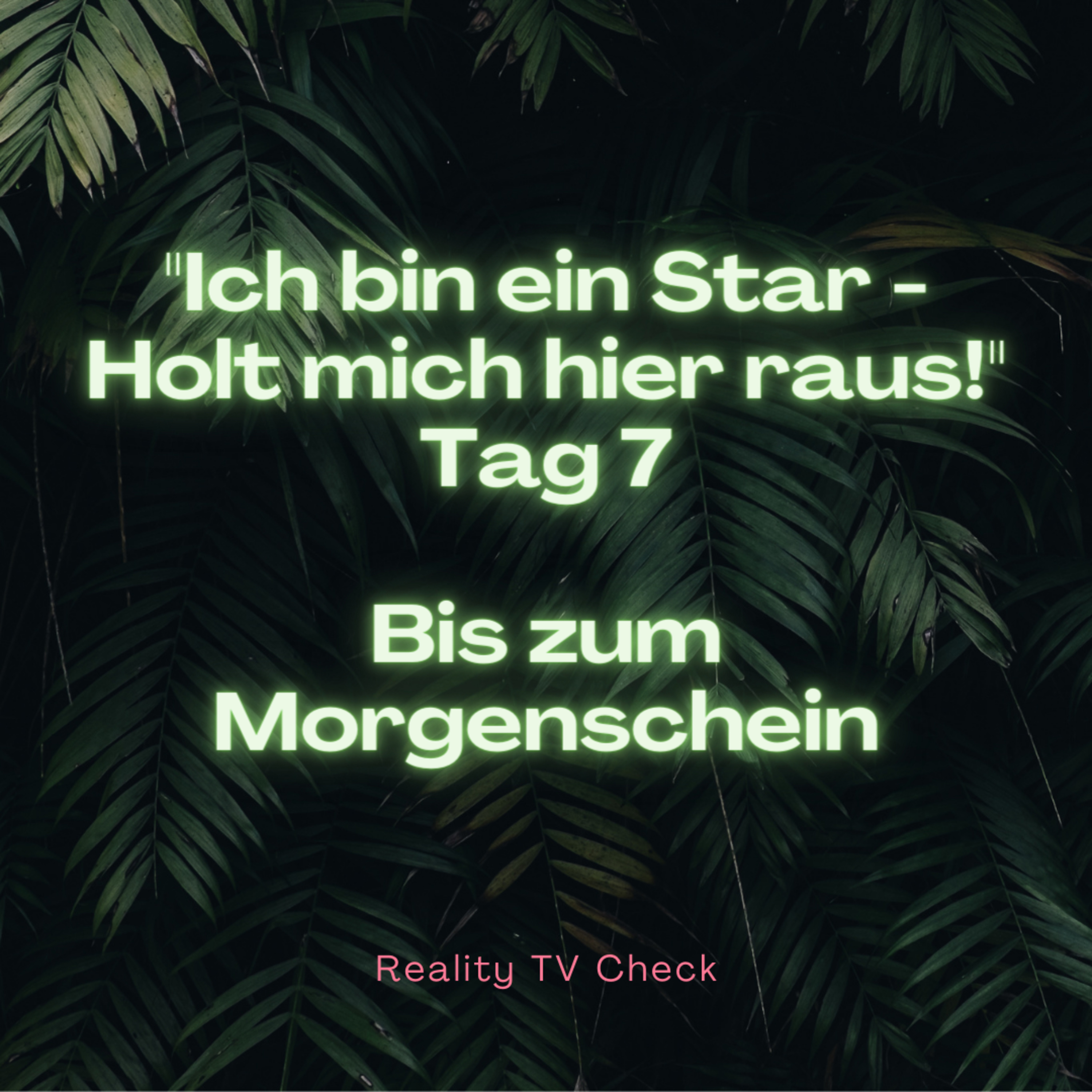 Reality TV Check
