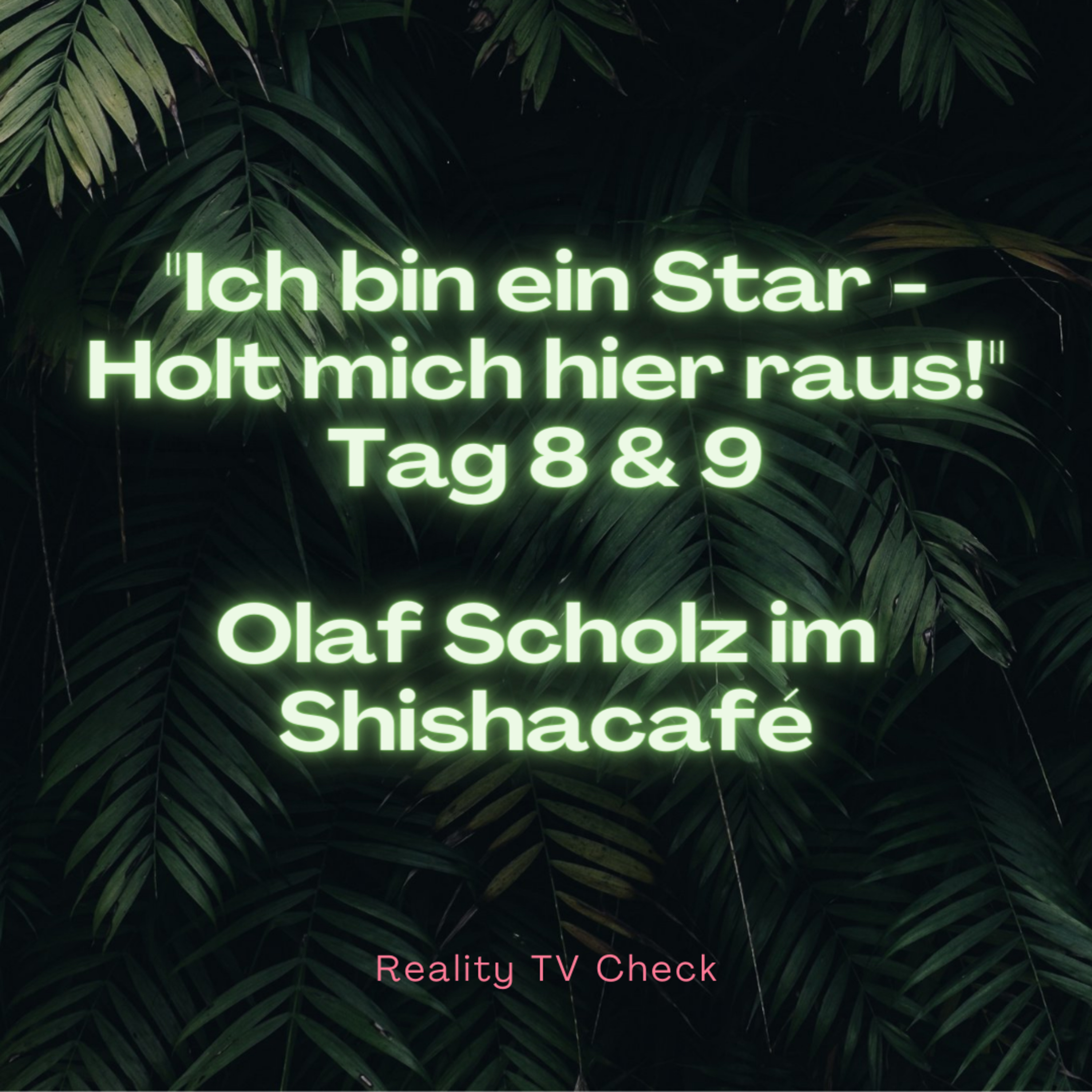 Reality TV Check