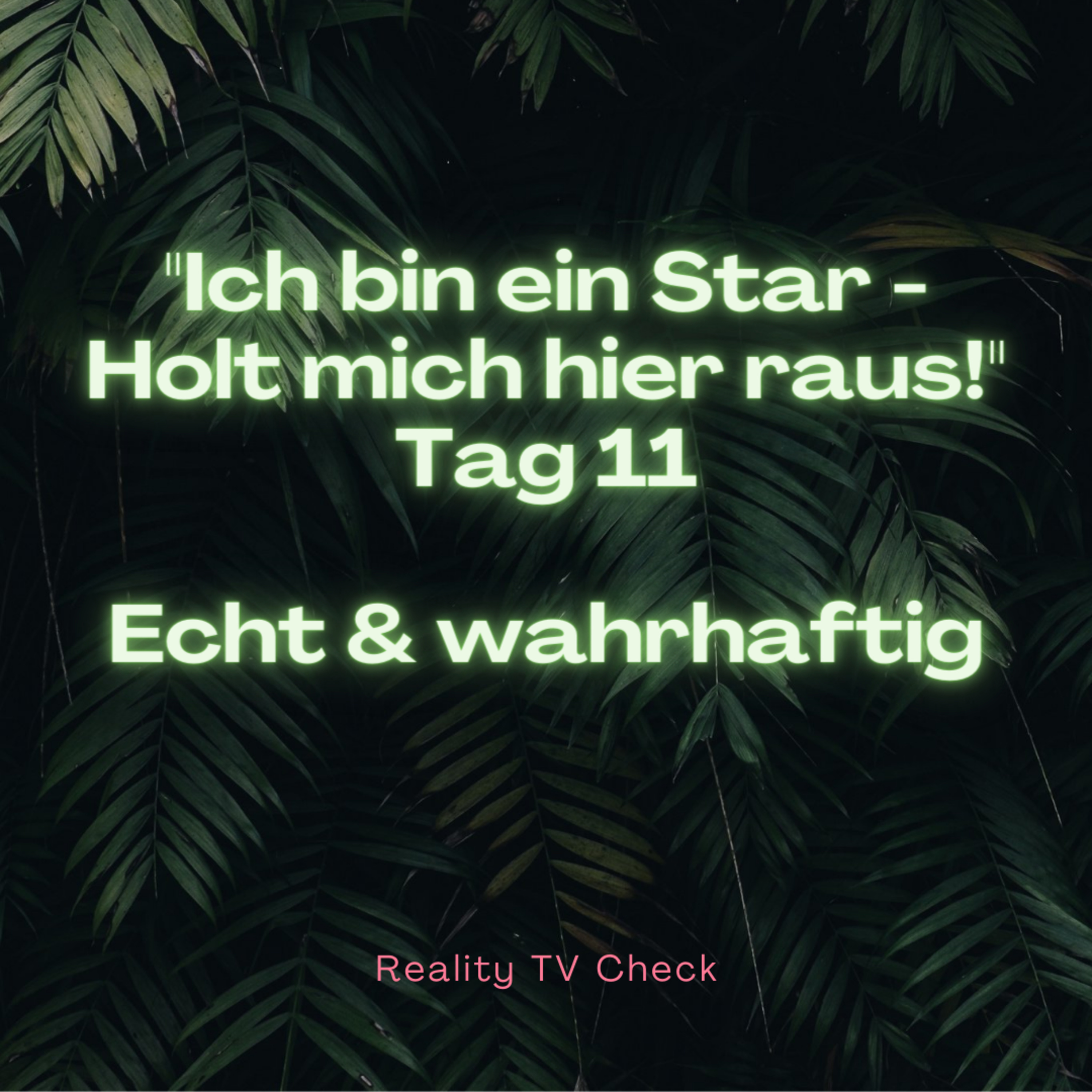 Reality TV Check