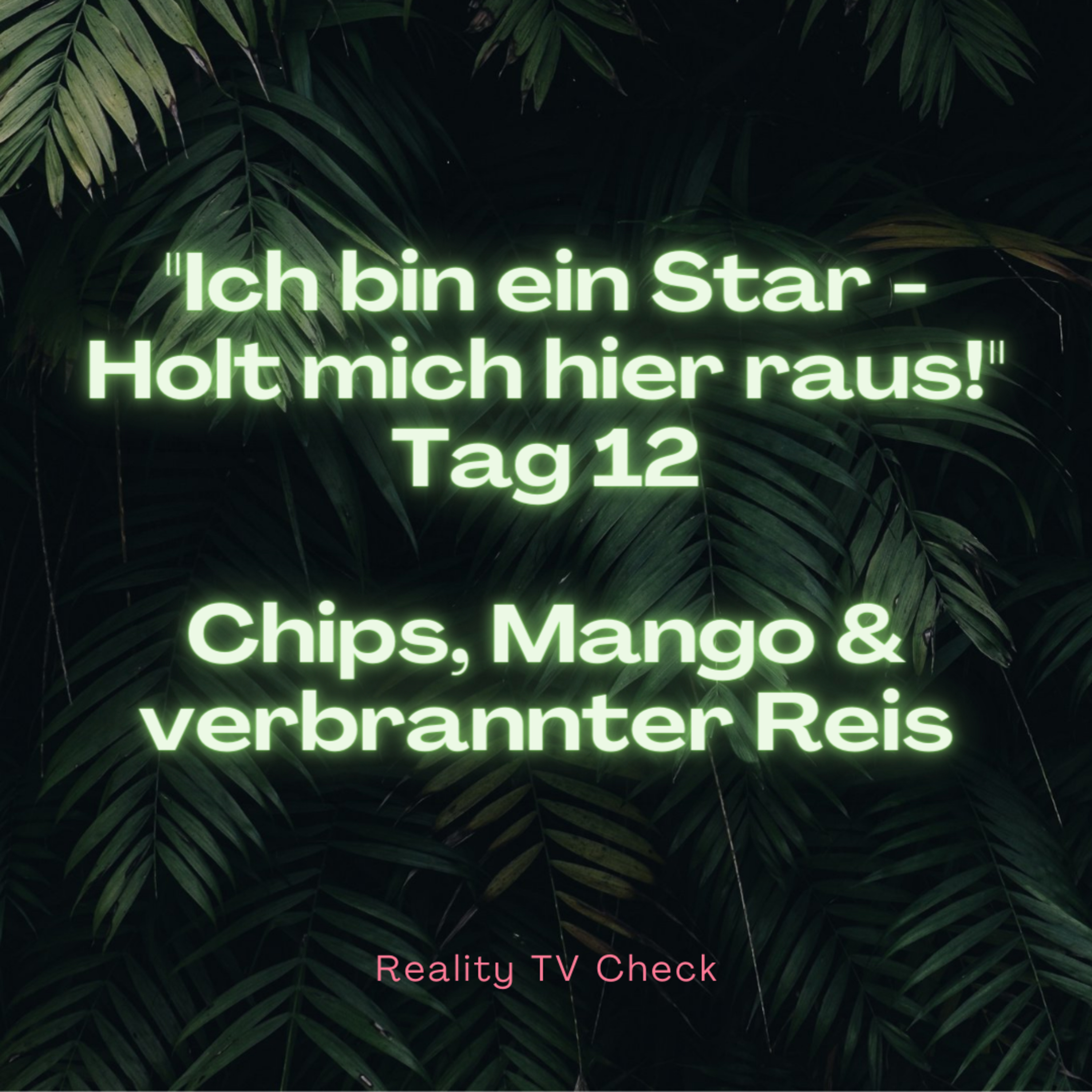 Reality TV Check
