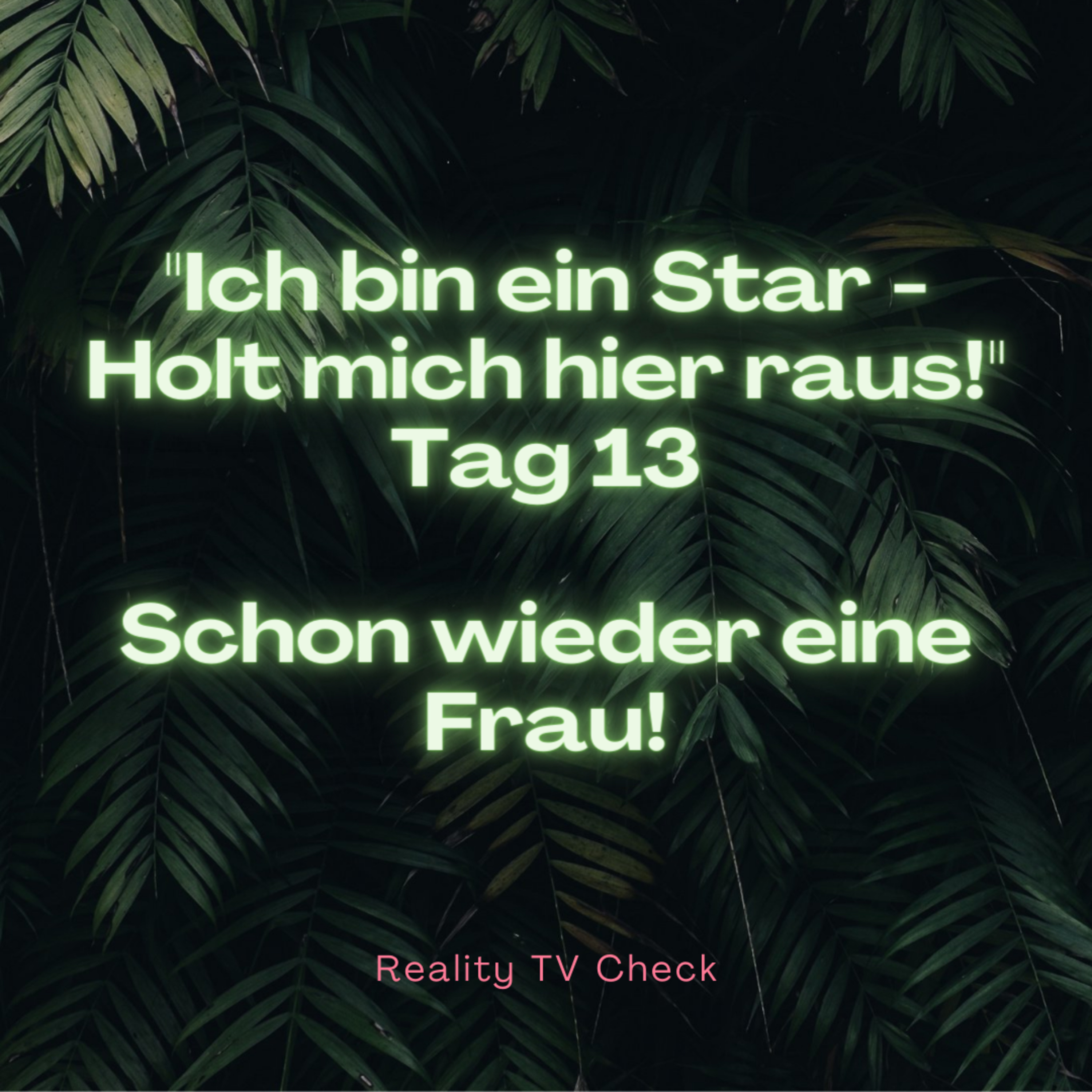 Reality TV Check