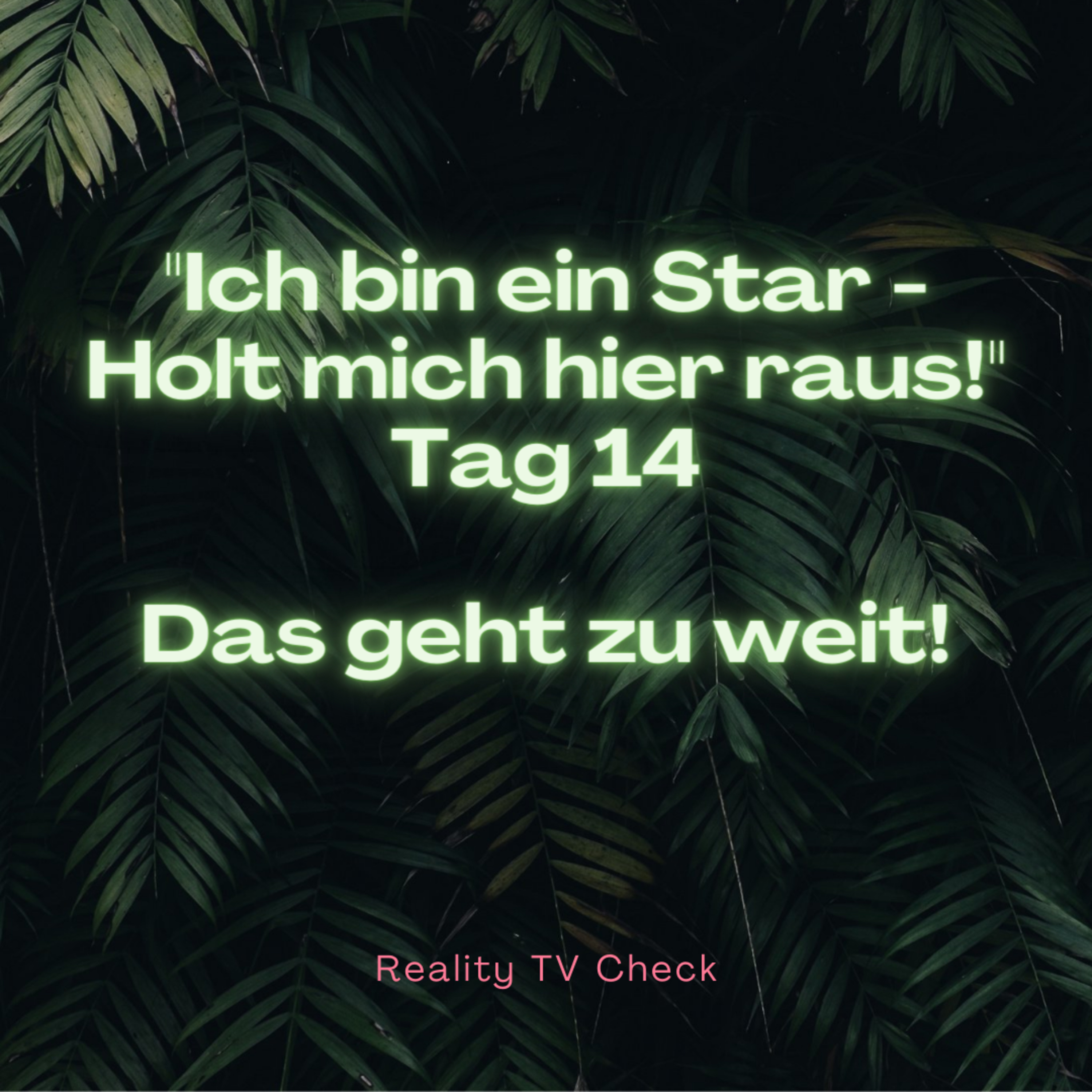 Reality TV Check