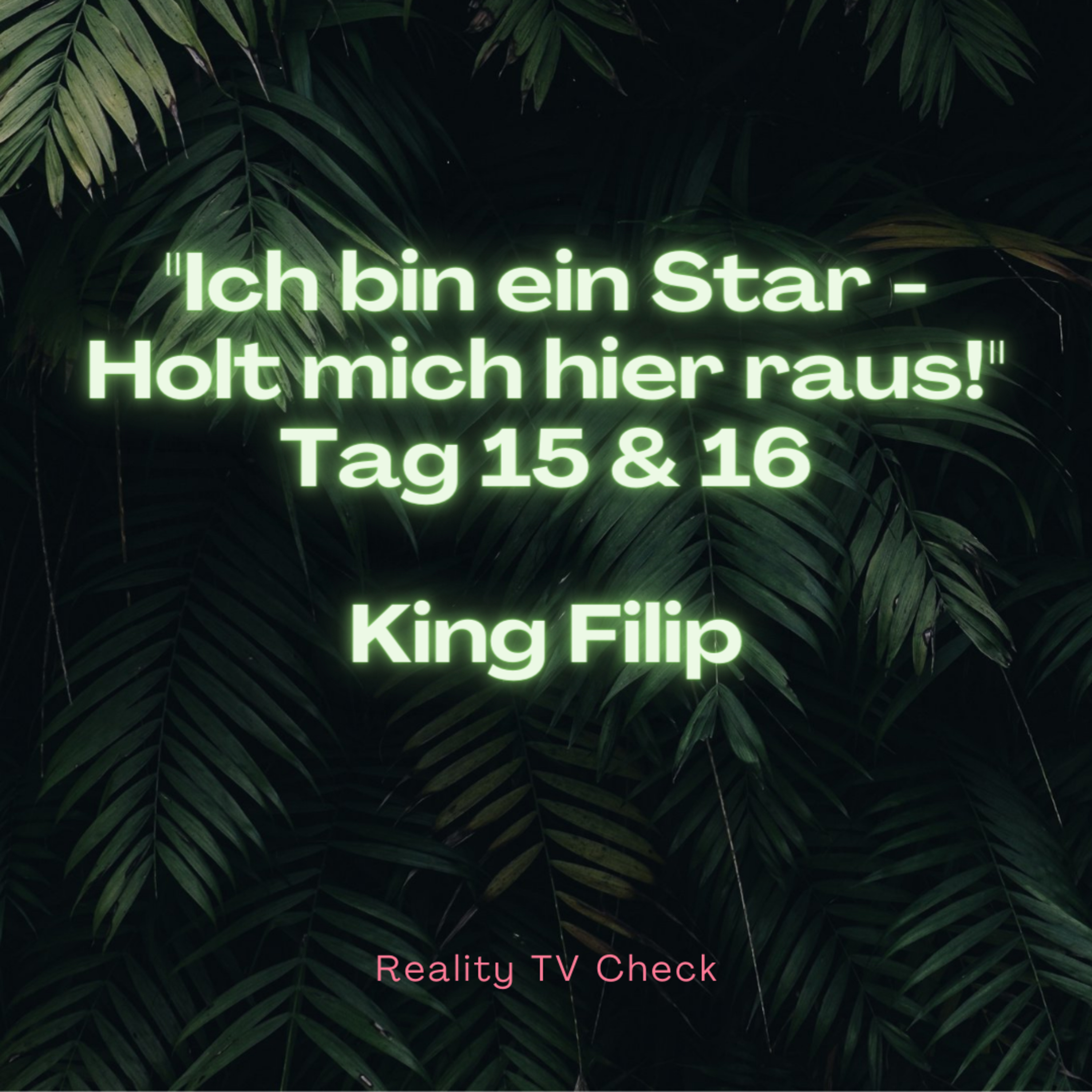 Reality TV Check