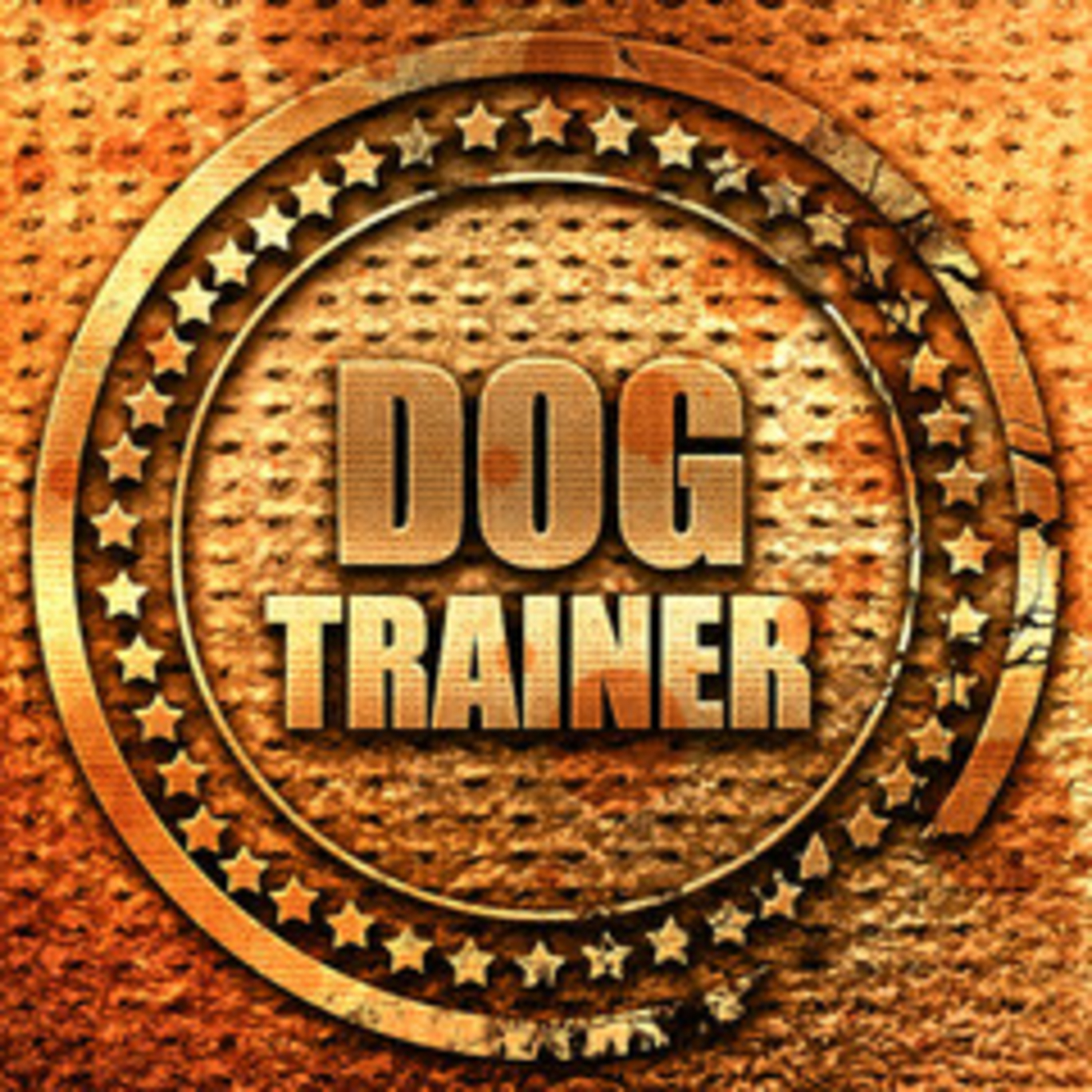 Dog On Air