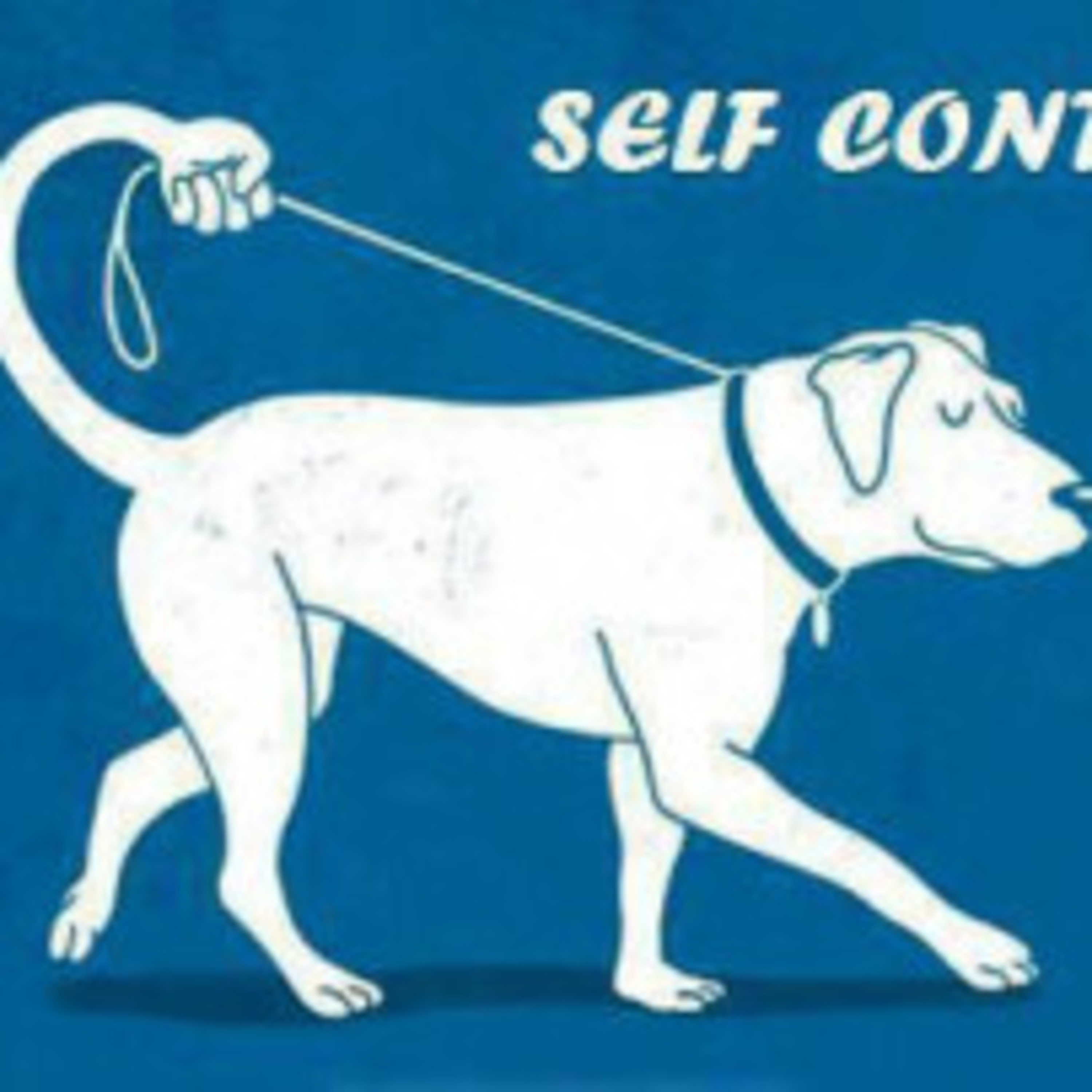 Dog On Air
