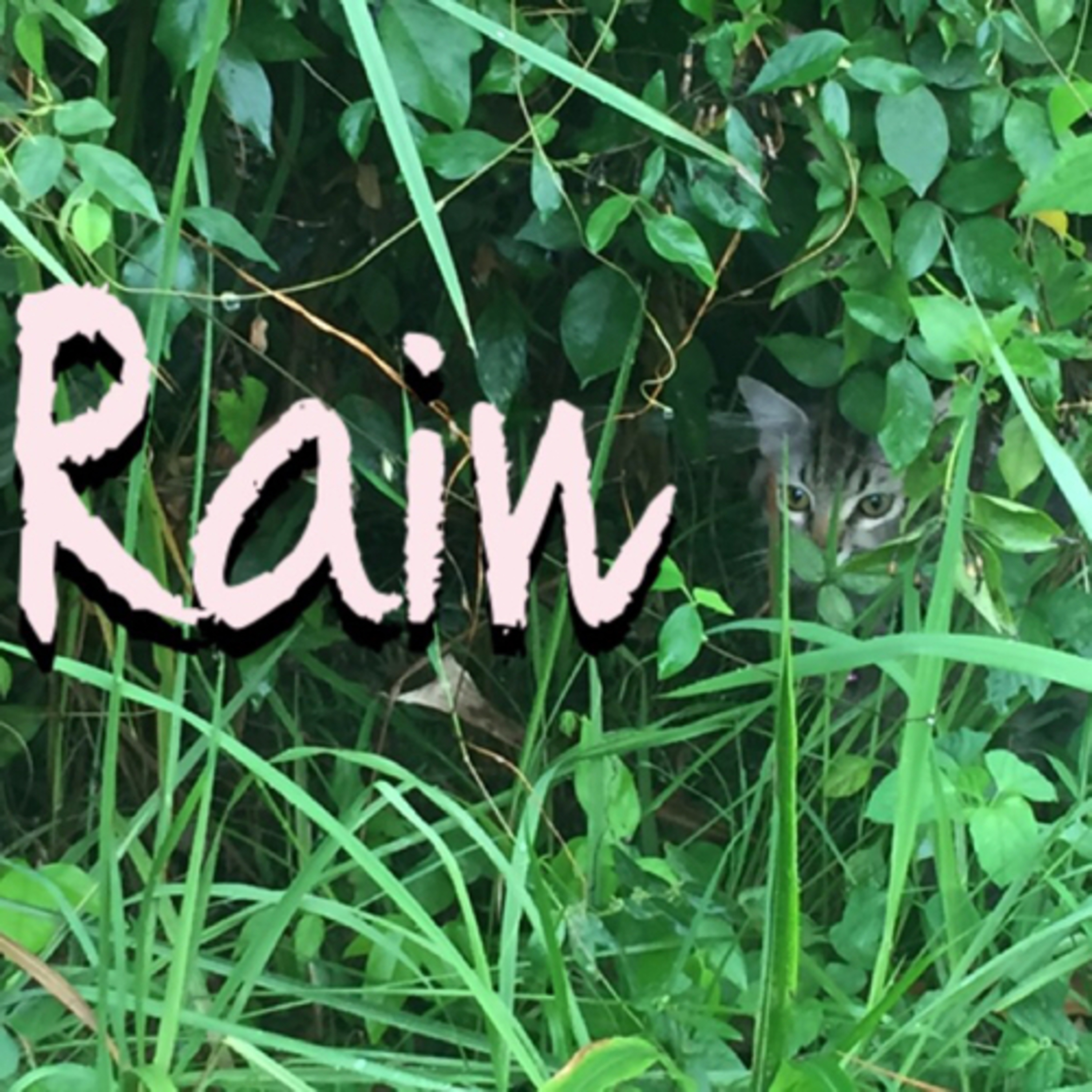 Mindfulness: Rain episode artwork