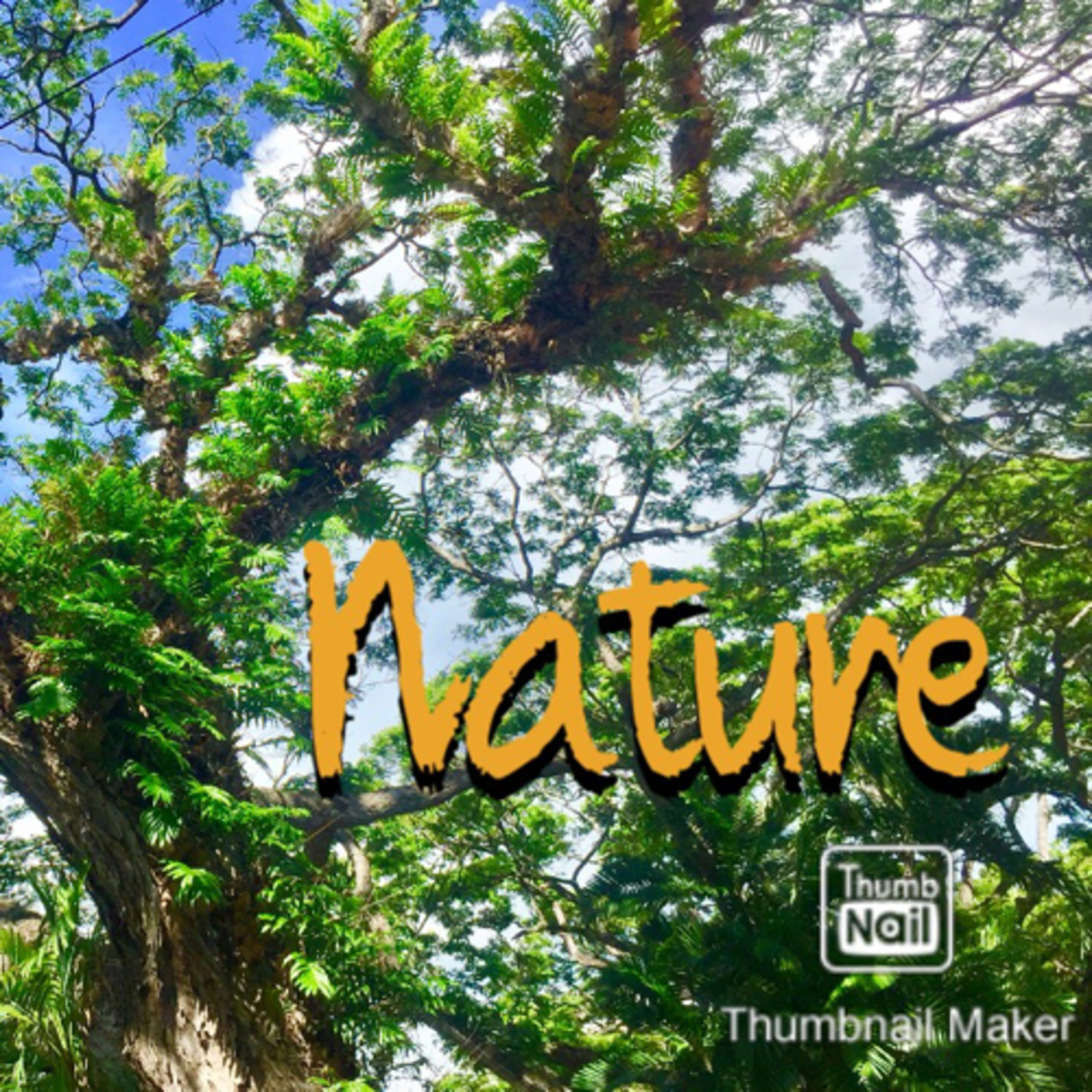 Mindfulness: Nature episode artwork