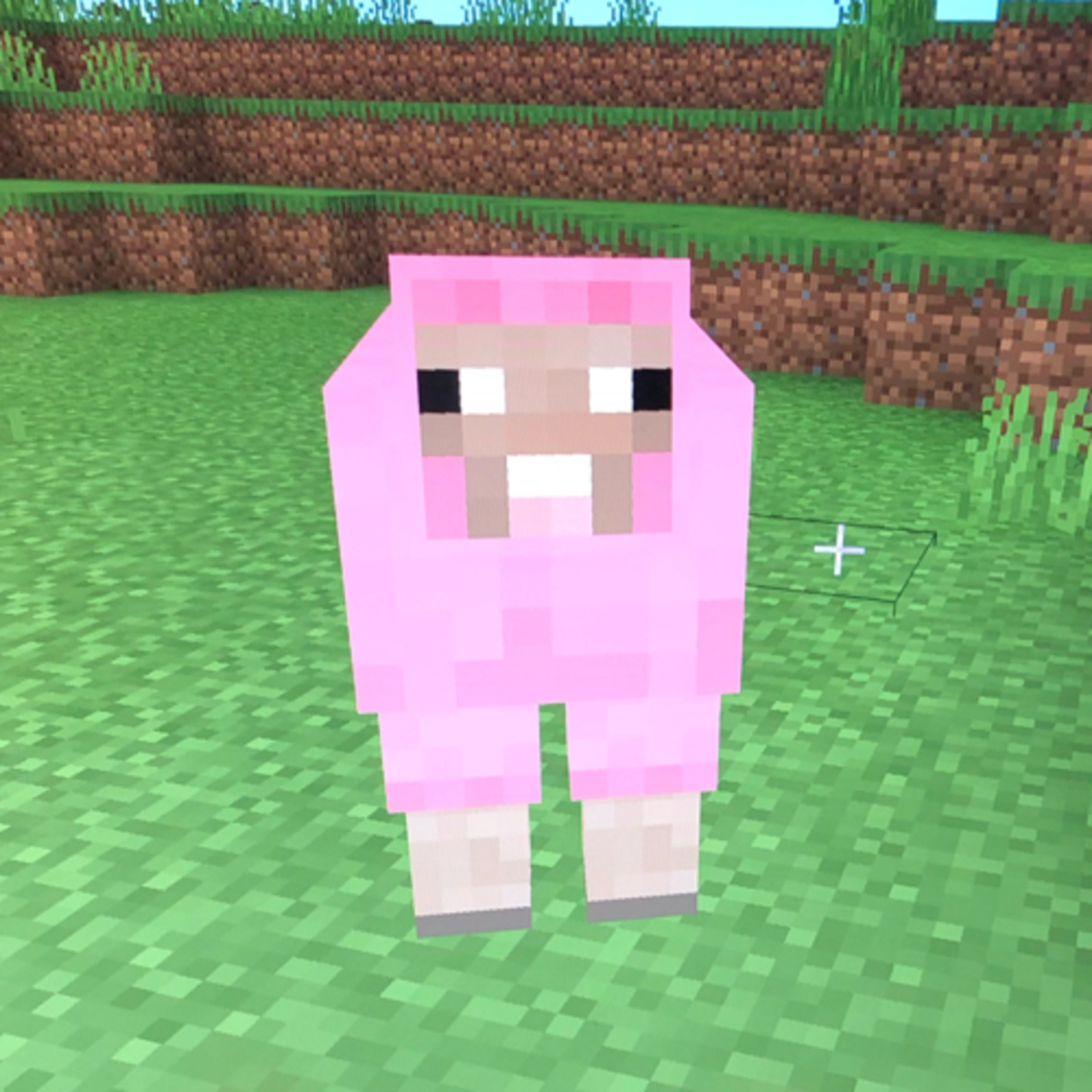 Minecraft Mit 9Bit