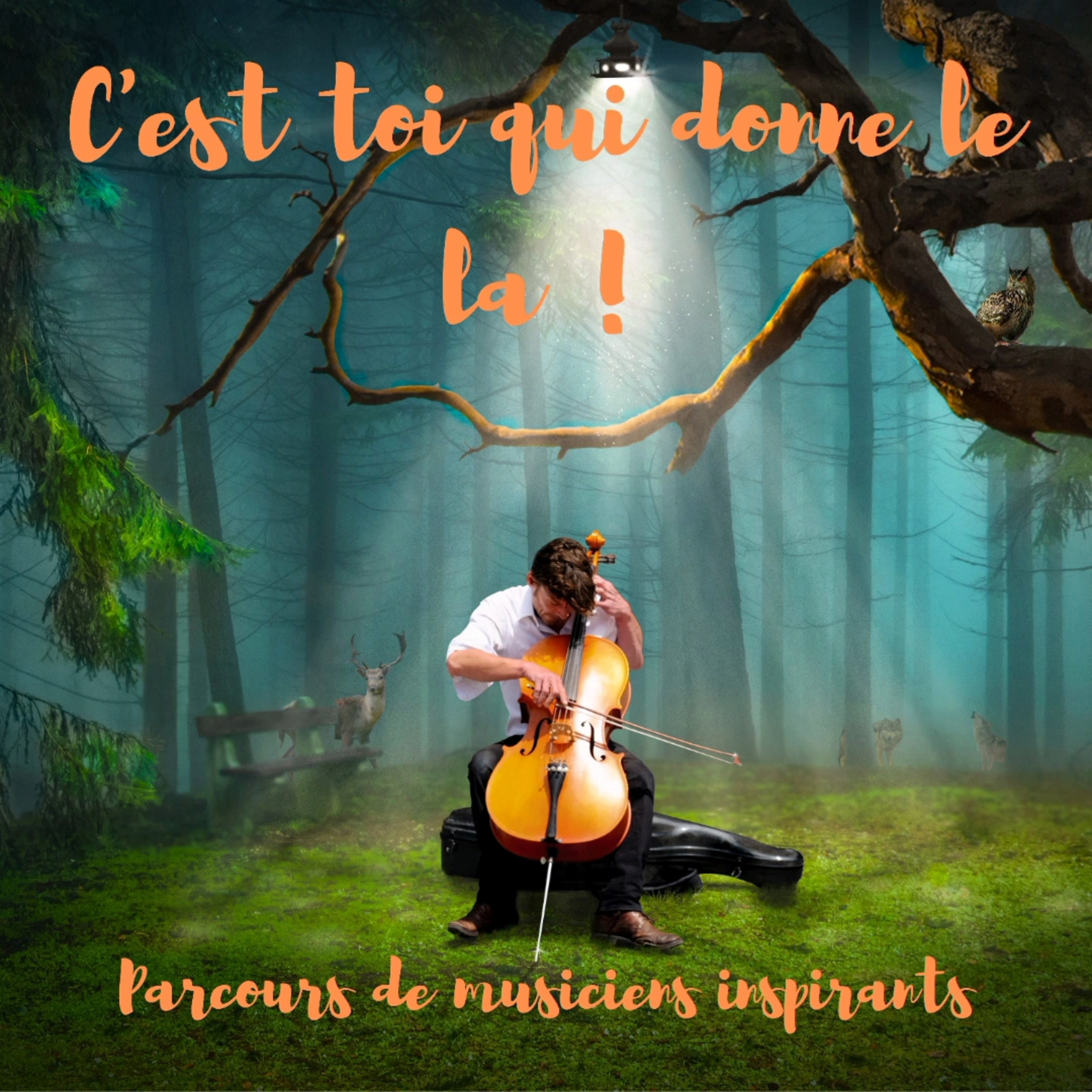 C\'est toi qui donnes le la !