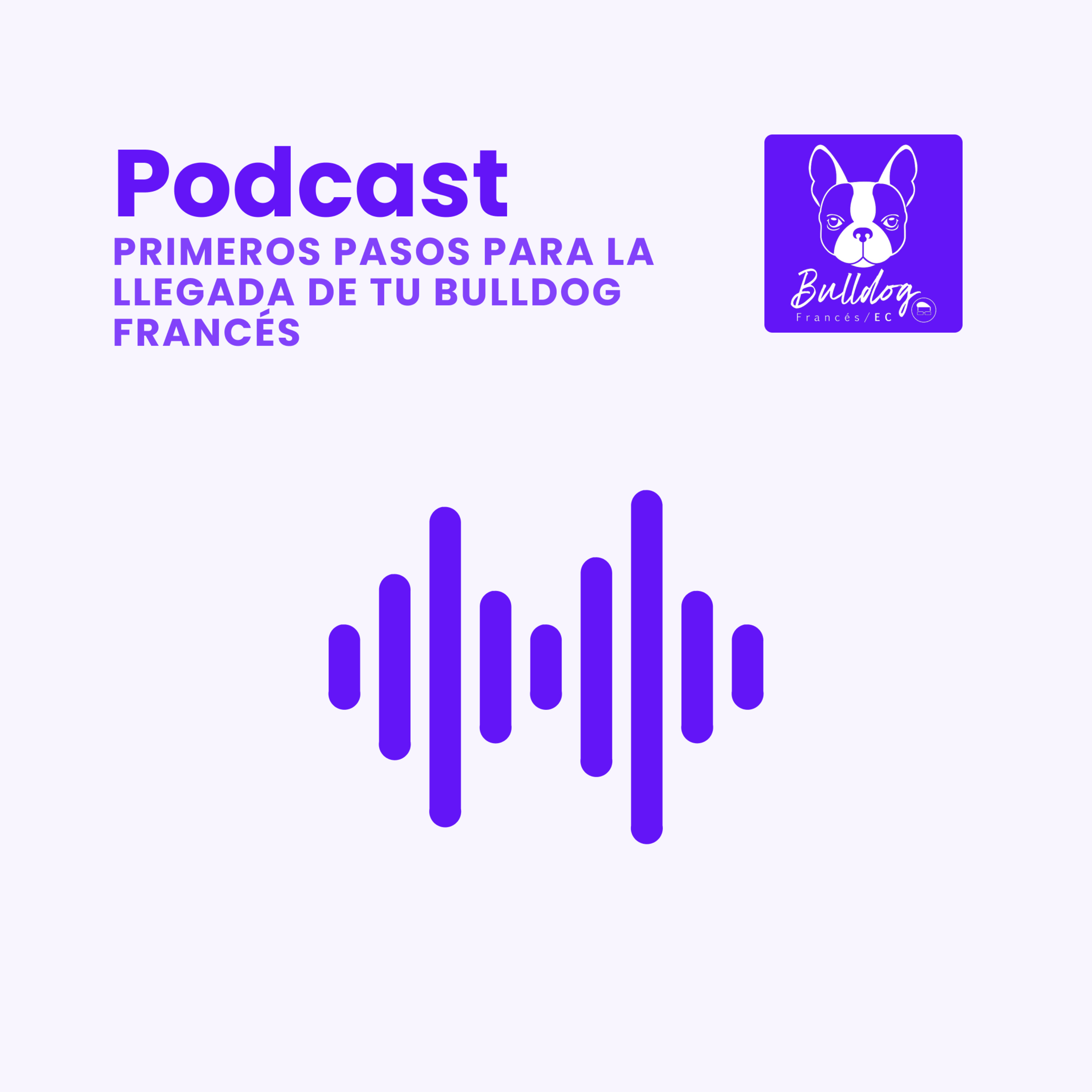 Viviendo con un bulldog francés