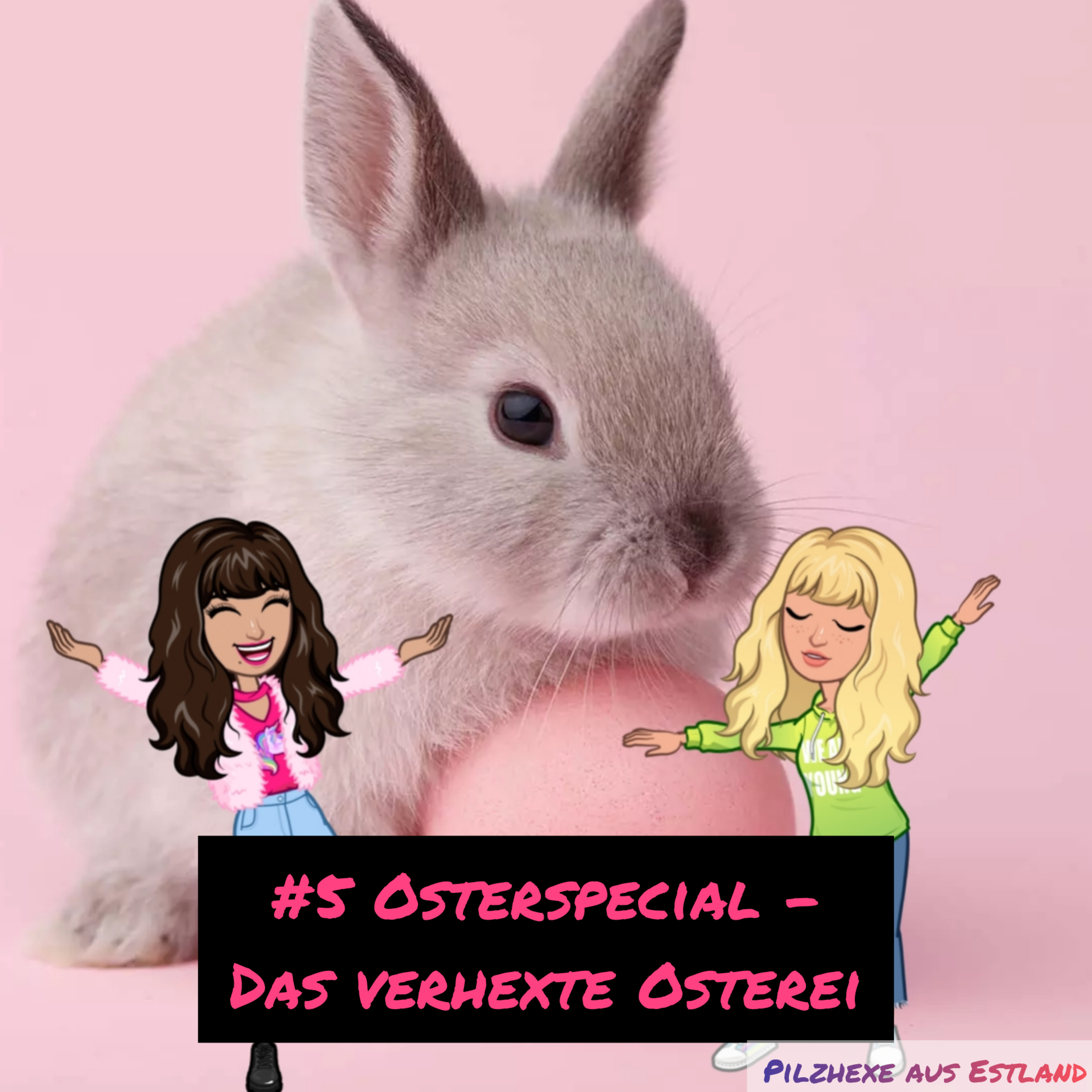 Pilzsuddämpfe in 💙🖤🤍 - Der etwas andere Bibi Blocksberg Podcast aus estland-affiner Perspektive