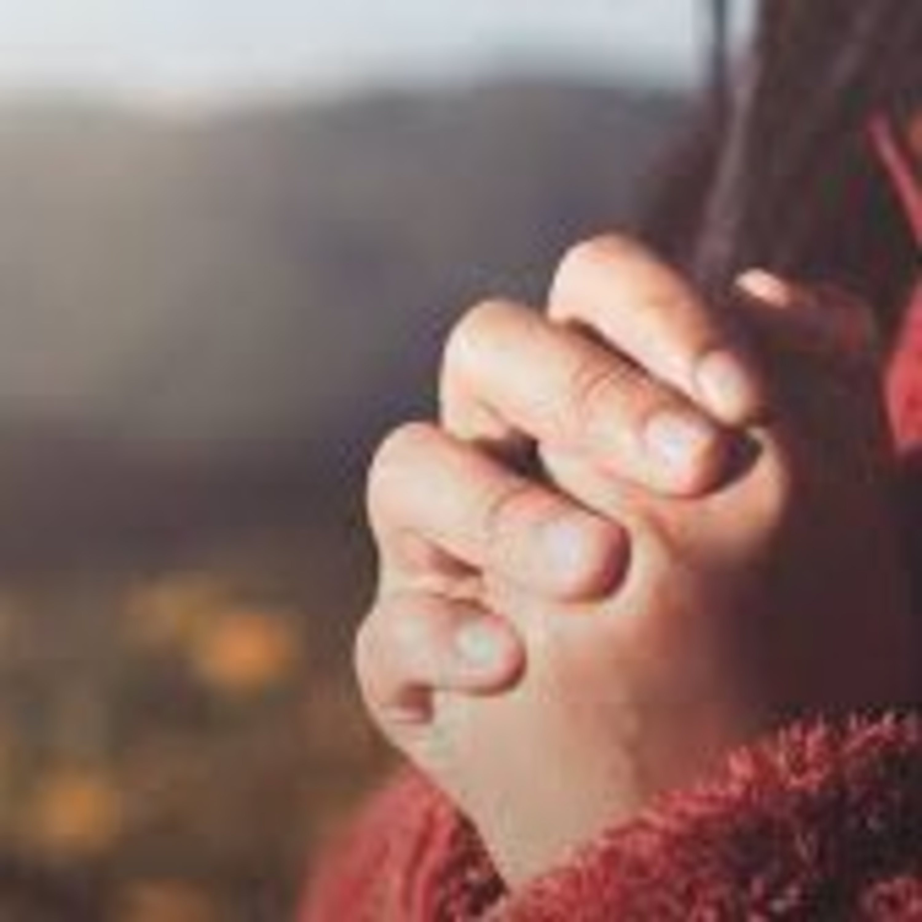 Audios Del Curso Obsesión Cero