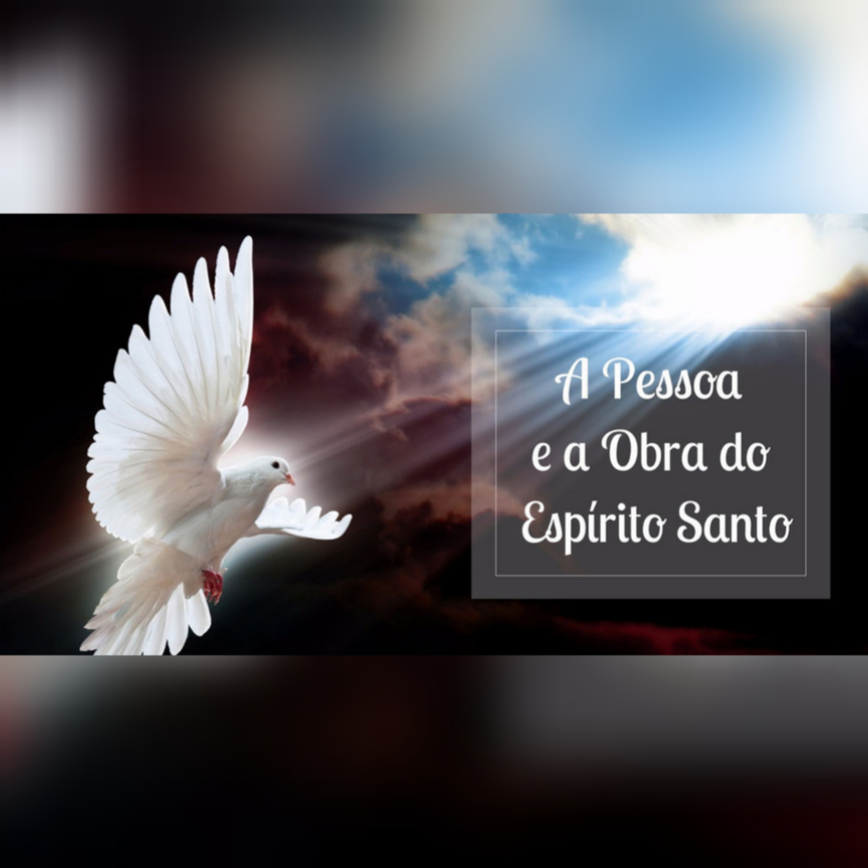 Pastora Flávia Ferreira