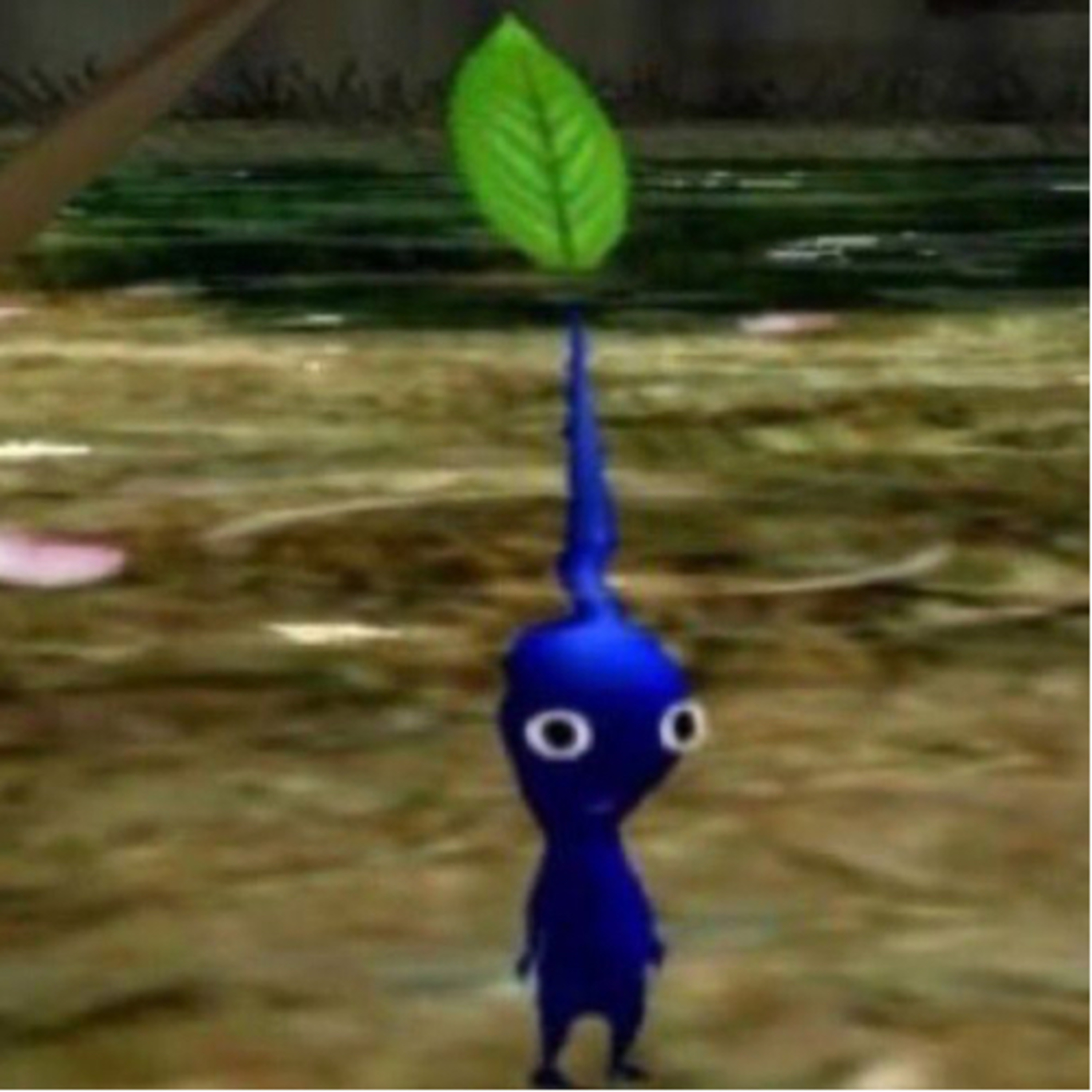 i don’t know what’s going on