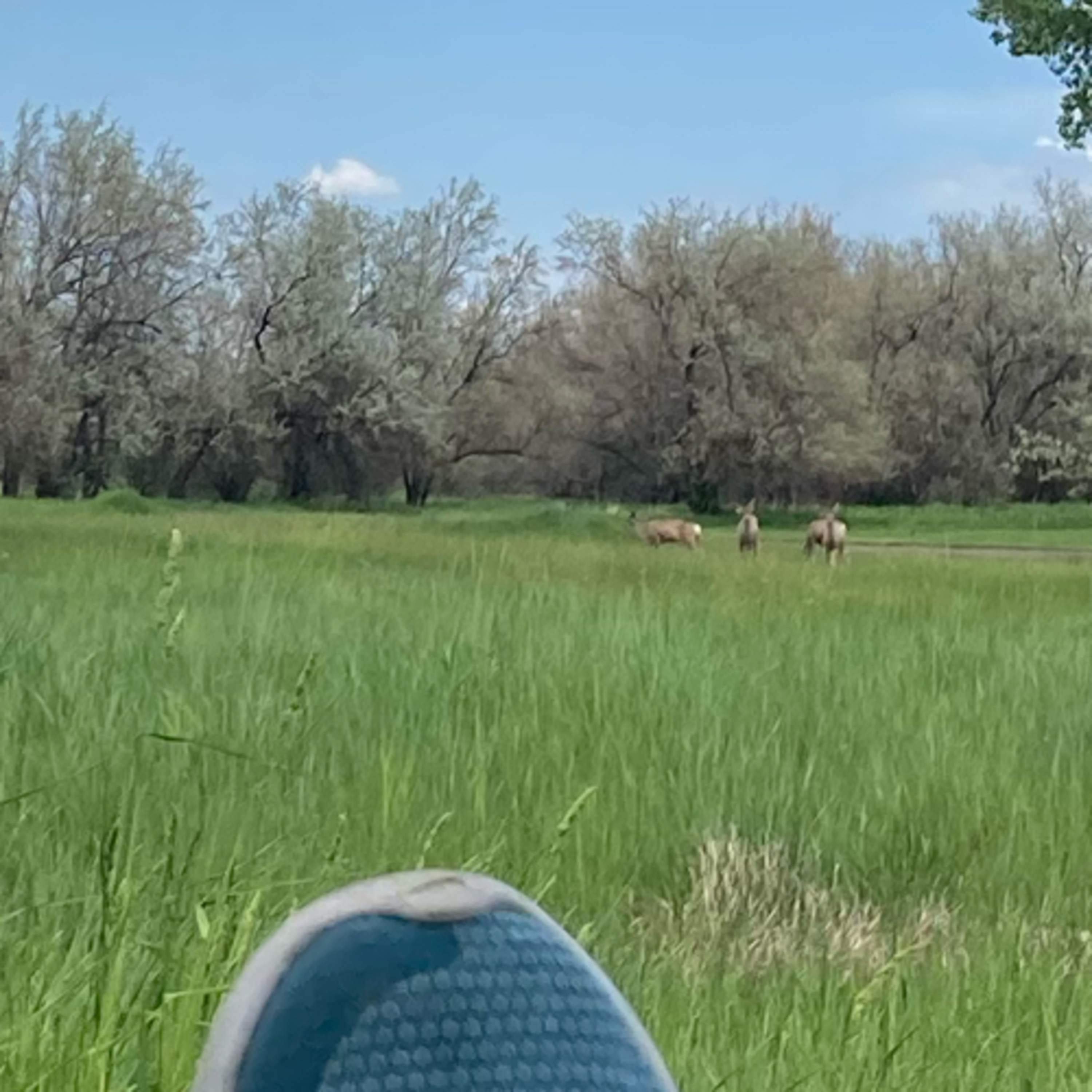 341~Bret Hogg 19.0☮️World Peace Summit/That Future Hitter