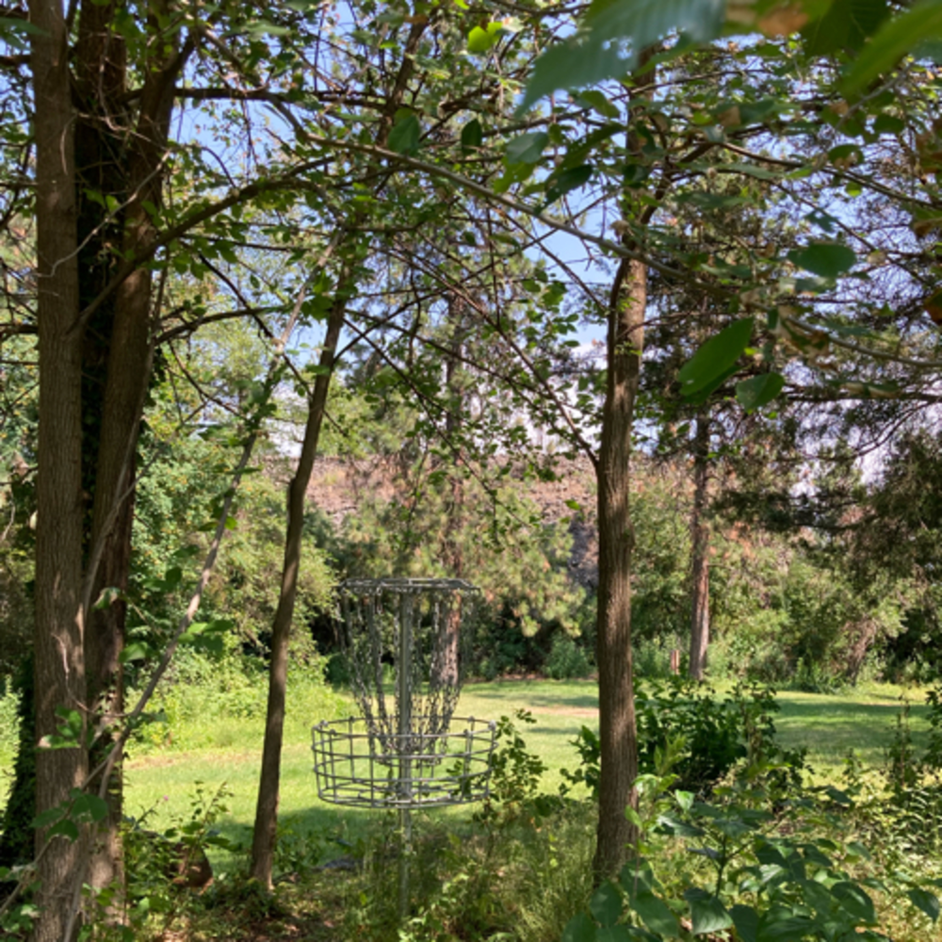 361~Bret Hogg 22.0~Losing Discs🥏