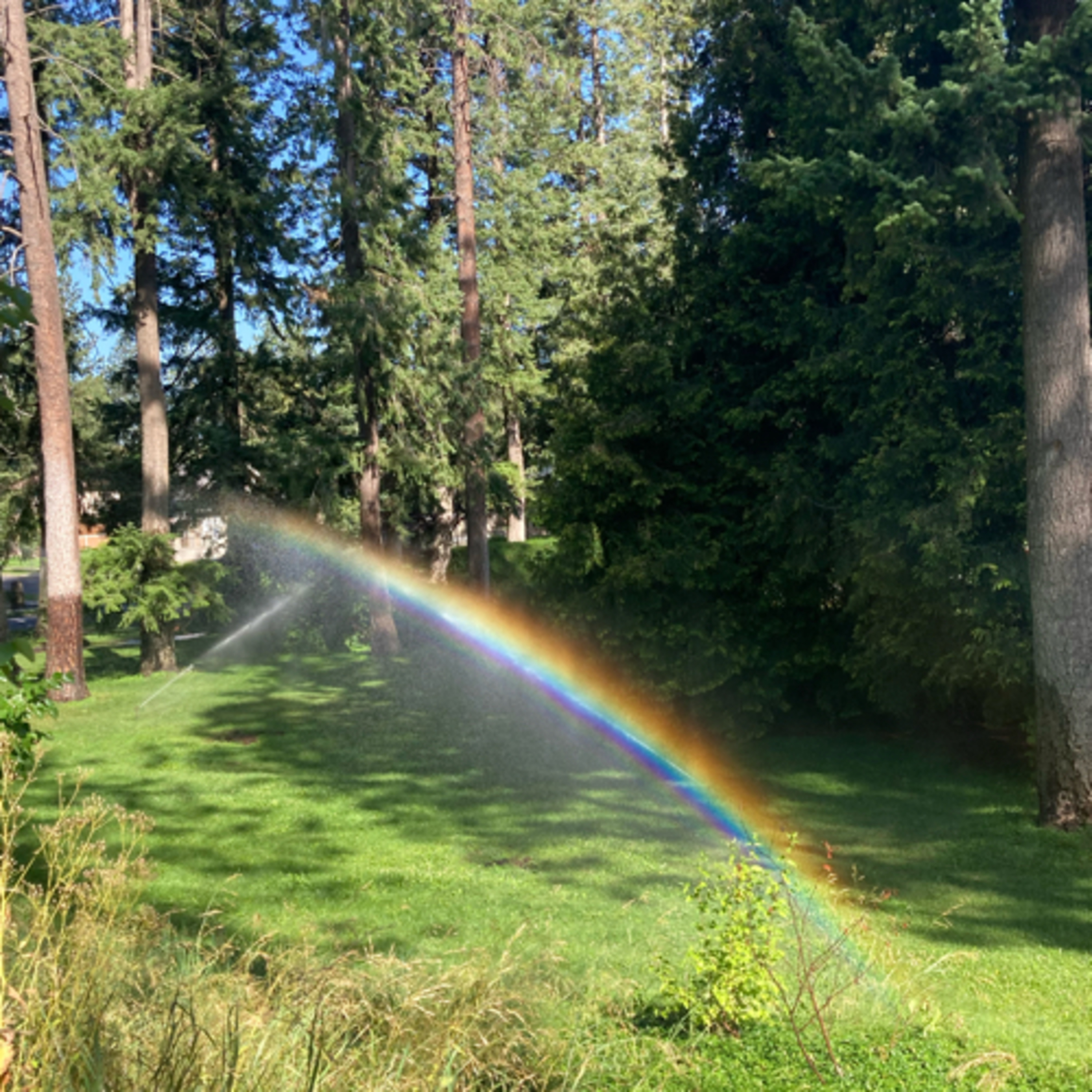 368~TOTD #15🐍Venom