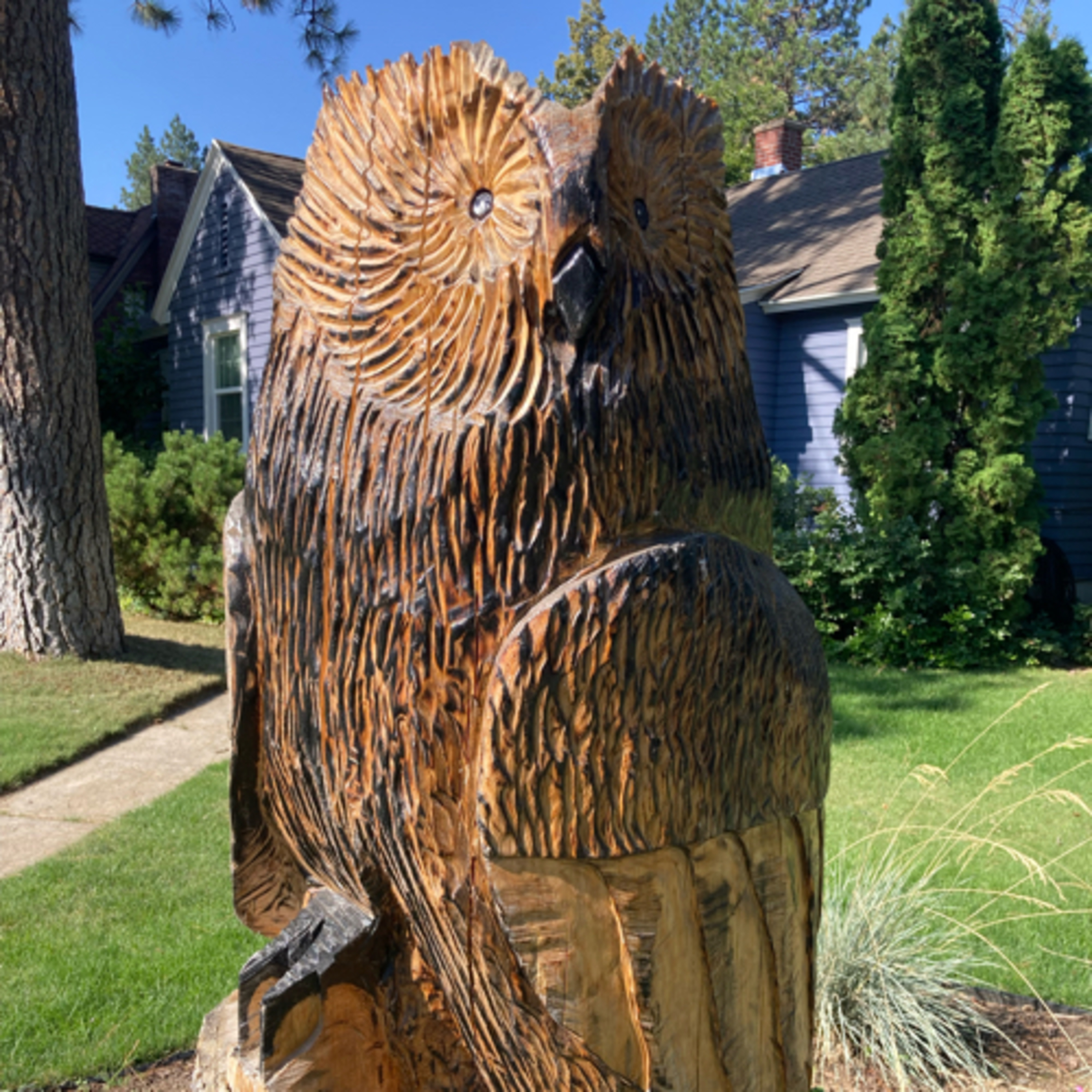 409⭐️TOTD #30💫