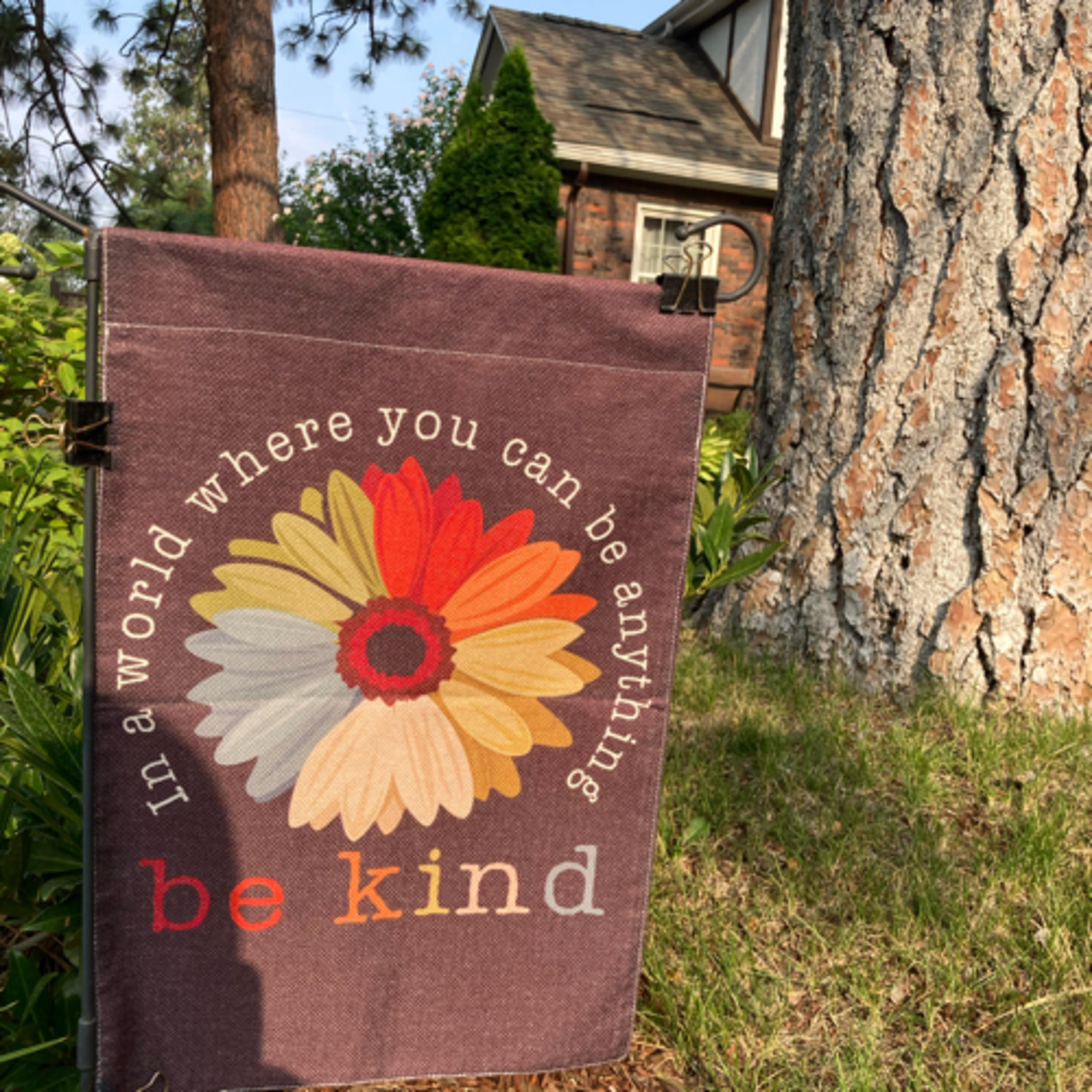 419~TOTD #39~They Come and They Go