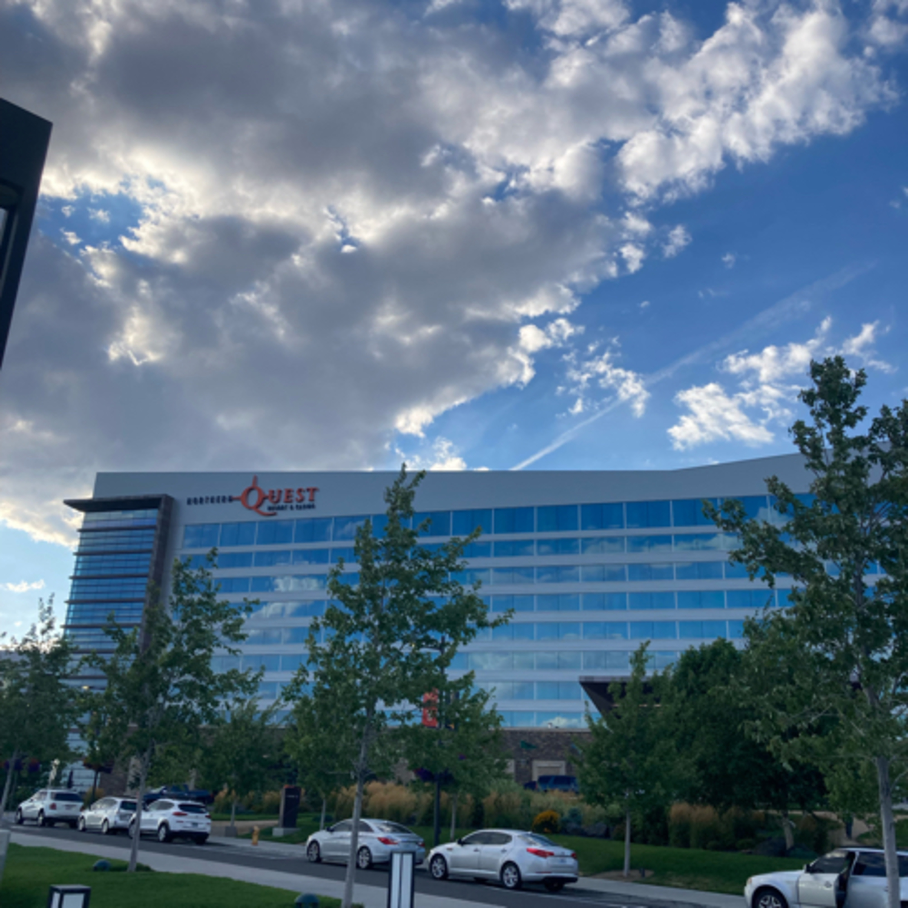 423~TOTD #42🧐Meaning of Life