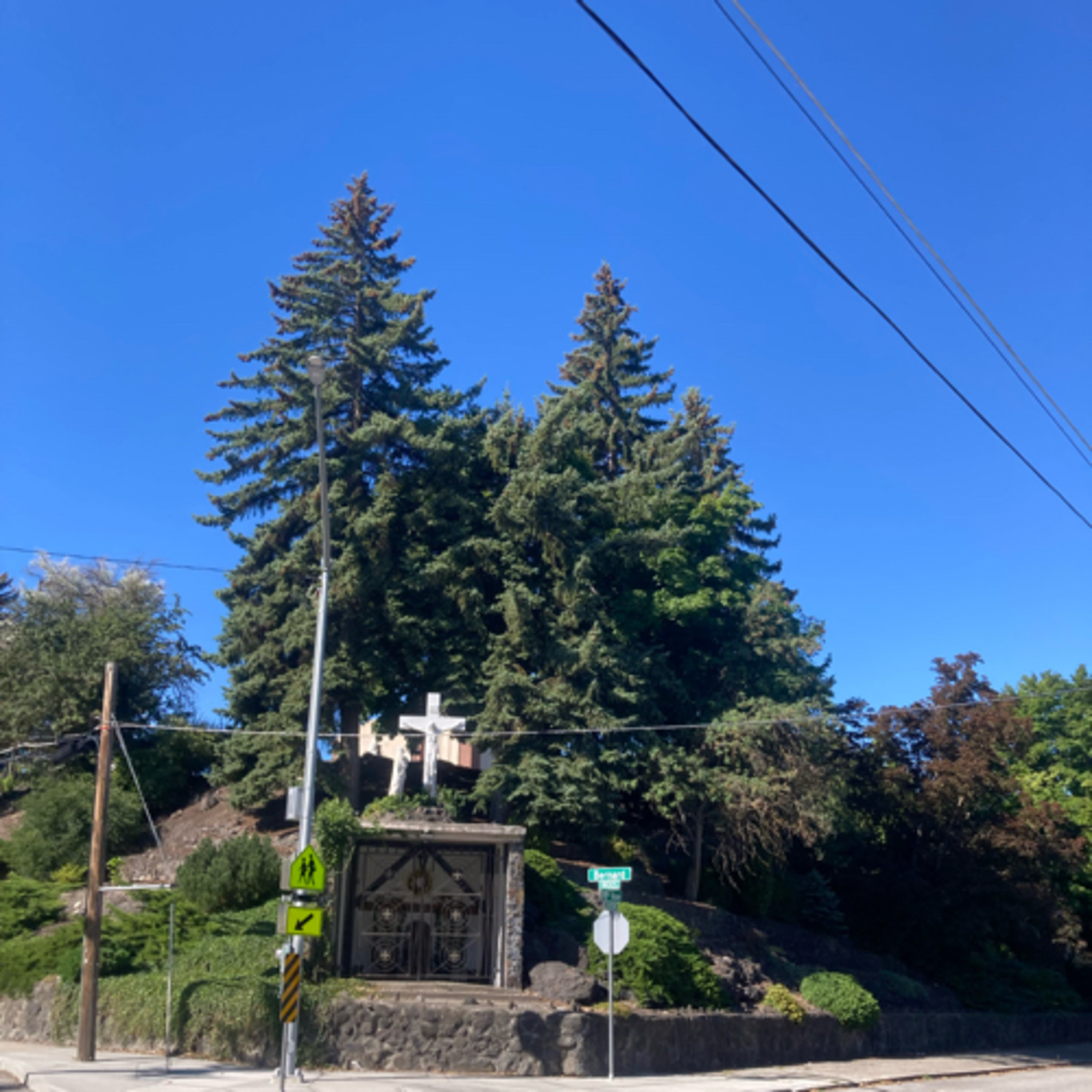 425~TOTD #44👦Parents👧