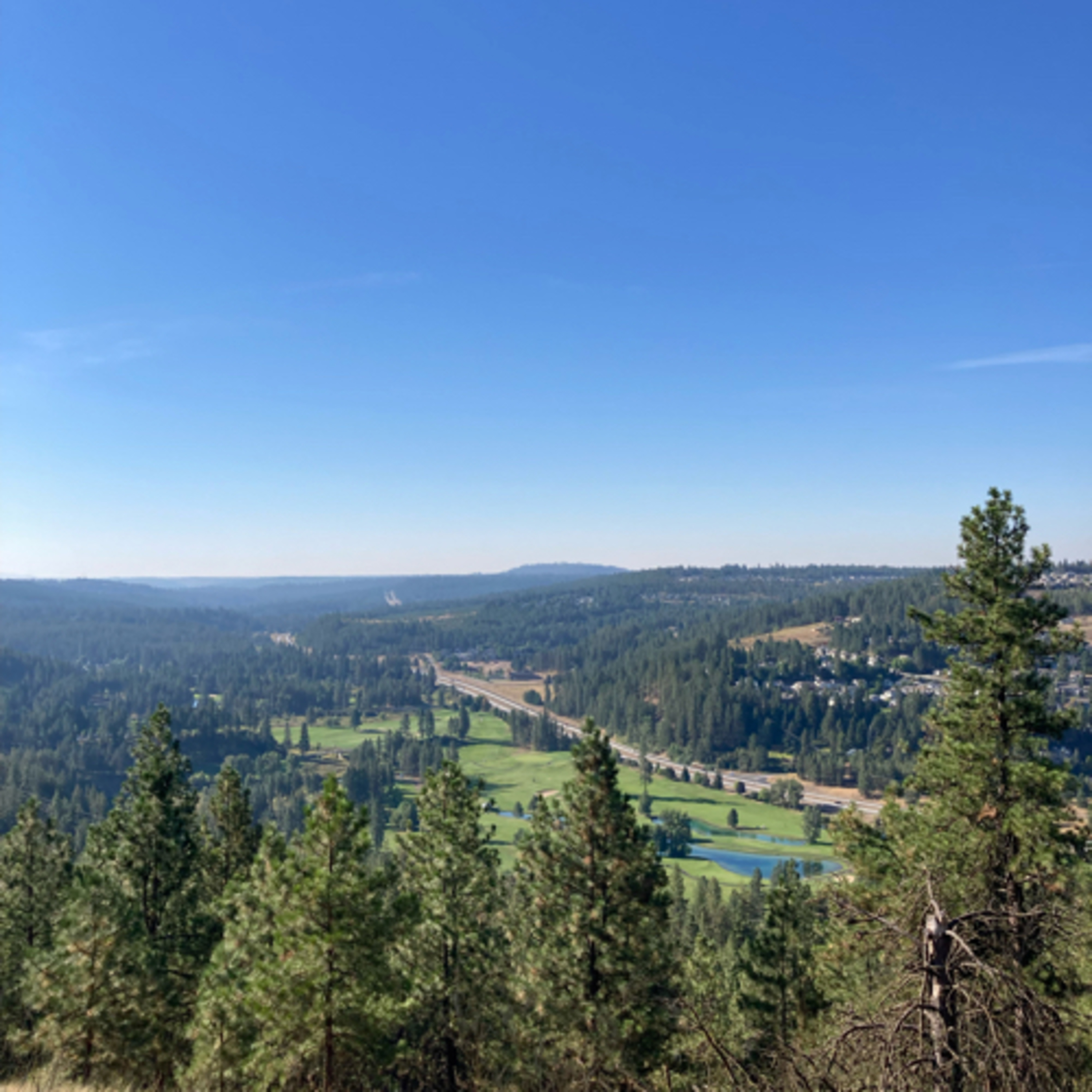 432~TOTD #50⚾️HOF or Not❓Pete Rose🌹