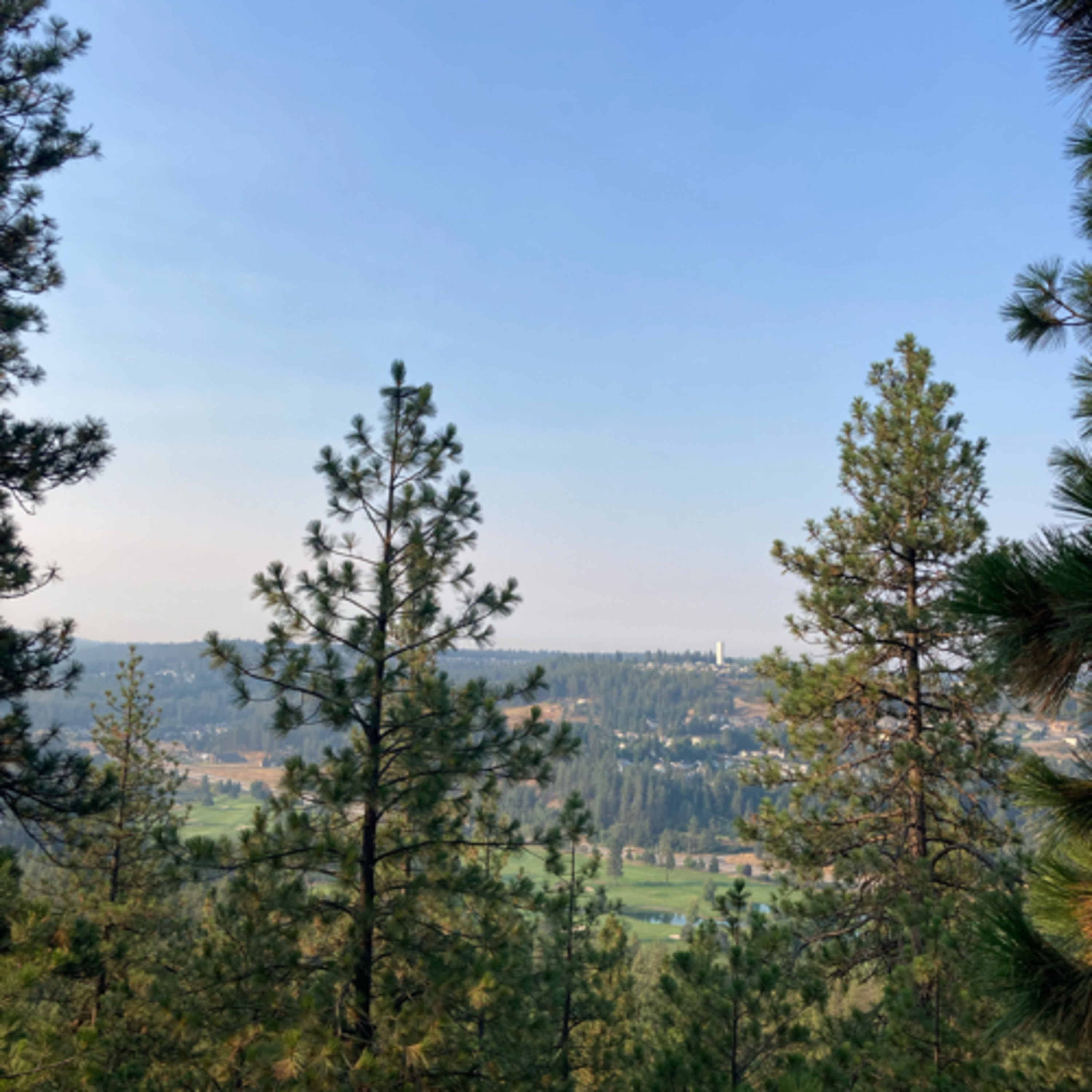 445~Song #23🕰️Clockwork📆