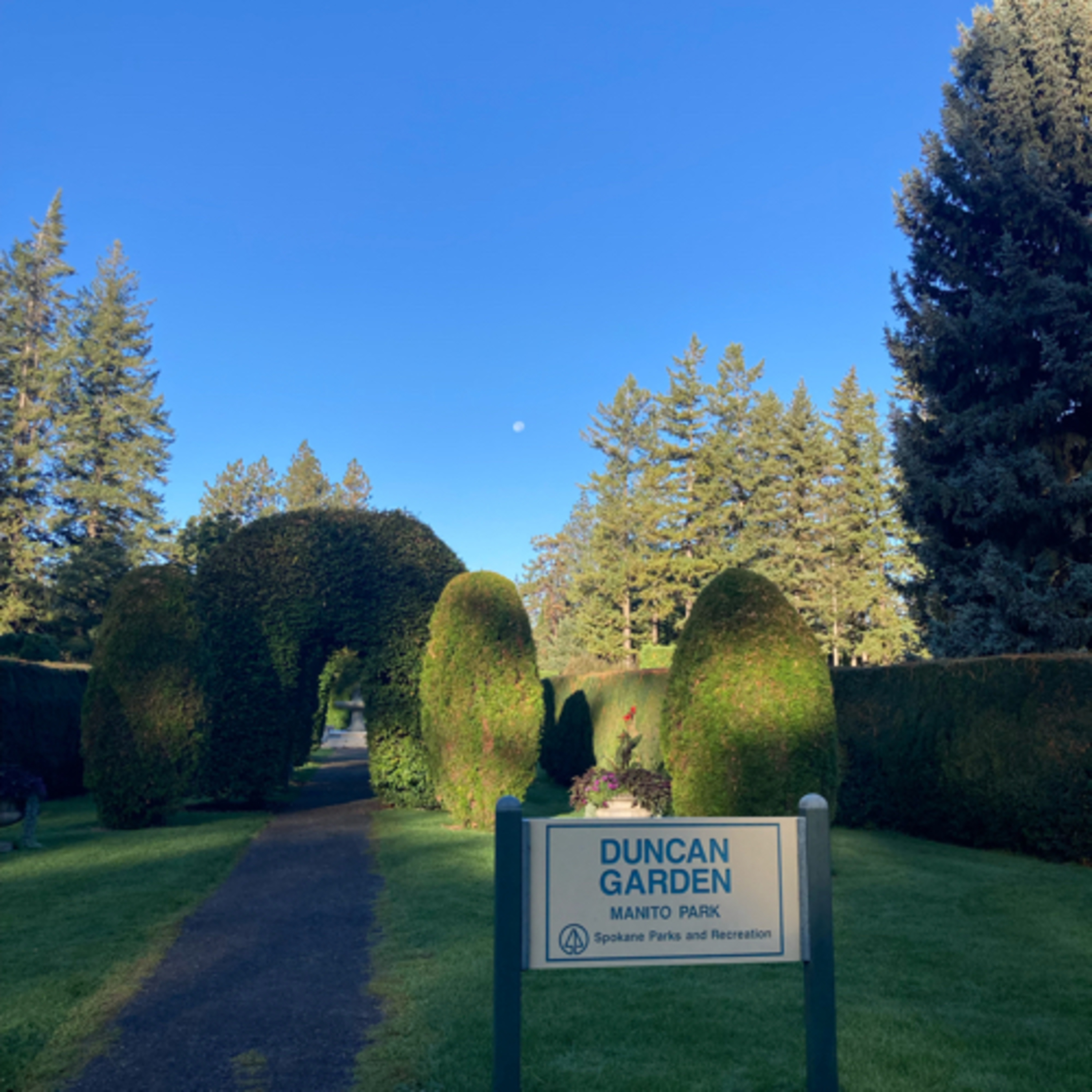 484🌴LA Flashbacks🌴