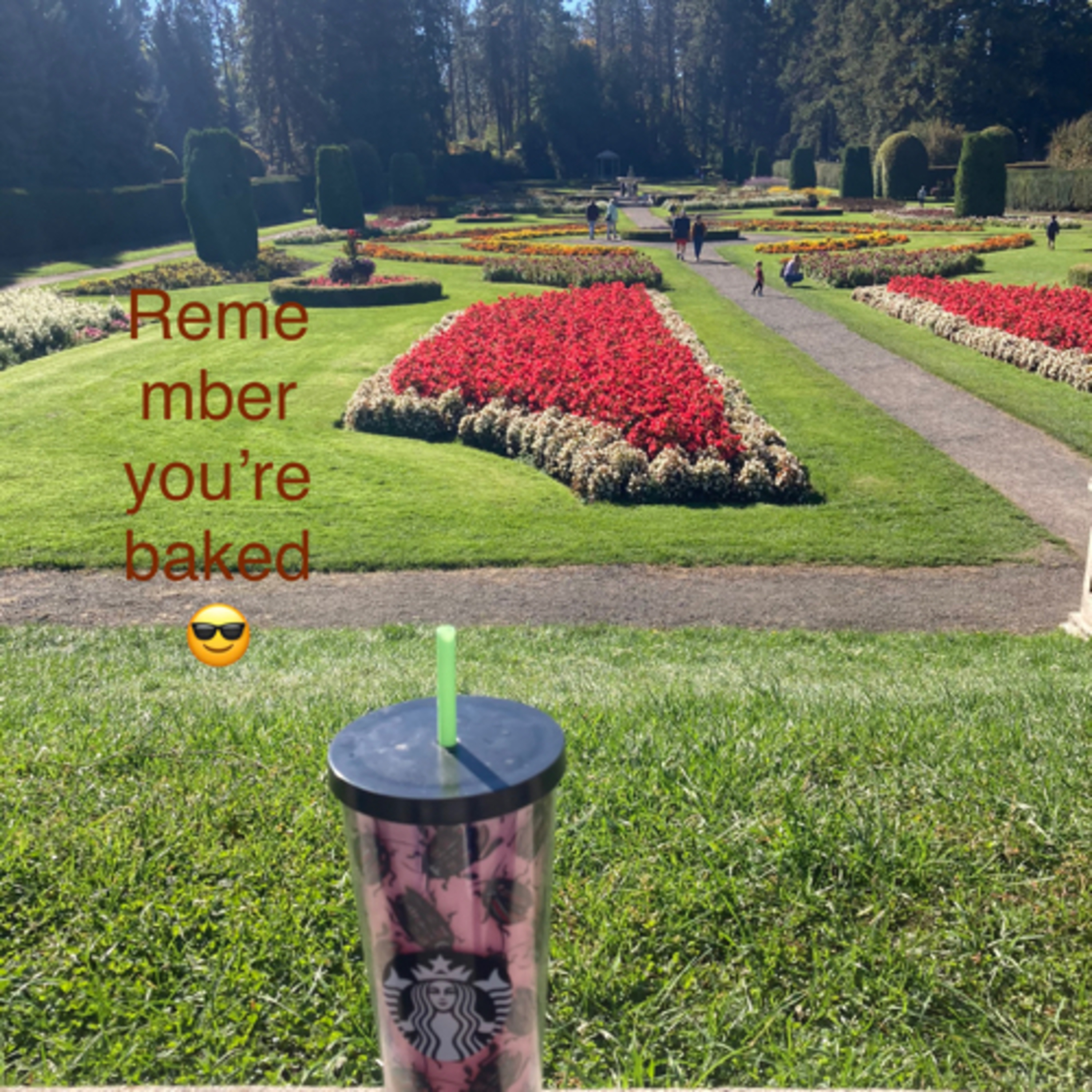 491~Bret Hogg 29.0~Calireplication