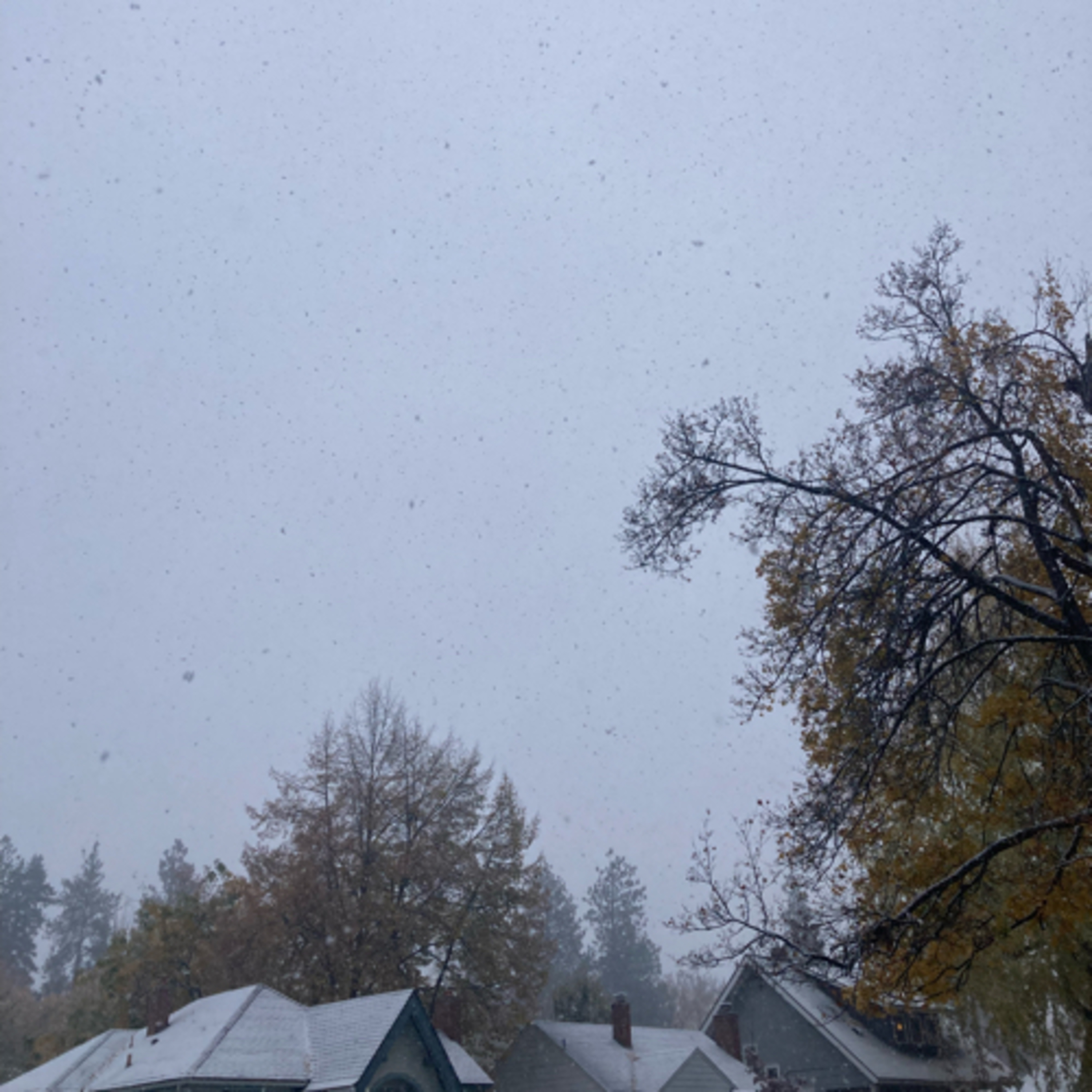 511~TOTD #106⚾️HOF or Not❓JT Snow⛄️