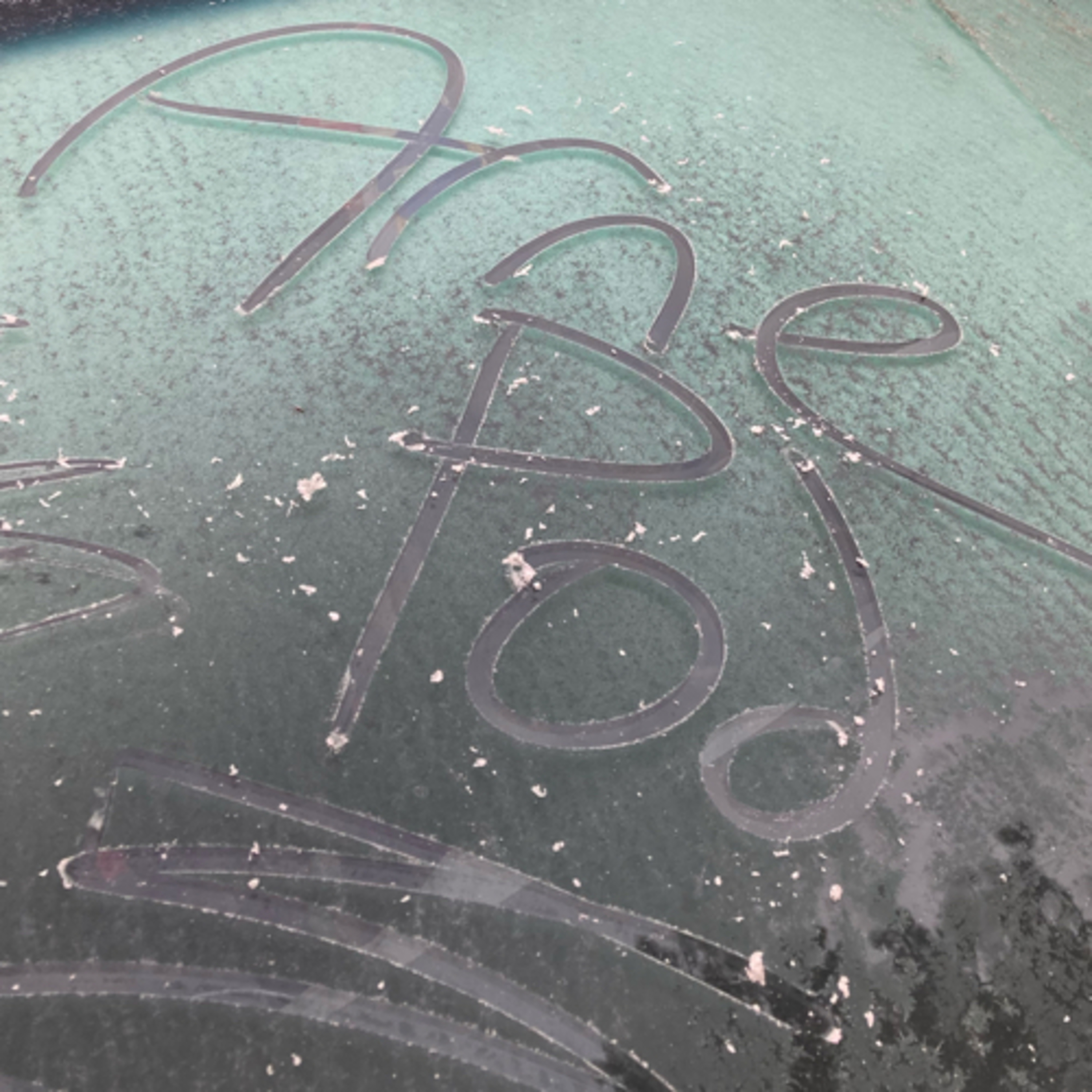 522~Does the Algorithm Listen to Arne Pod❓