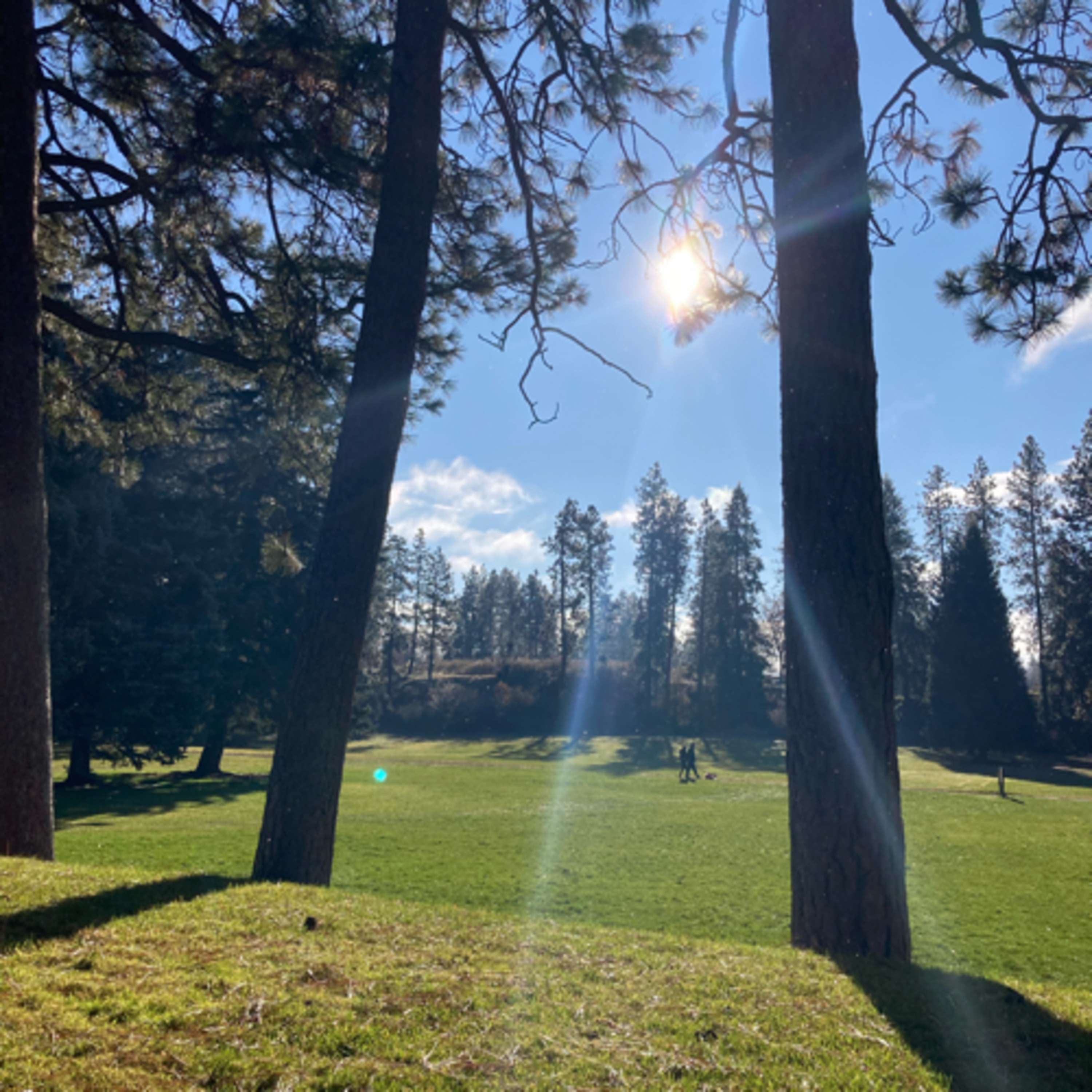 544~Bret Hogg 32.0: Two Degrees From Matt Damon