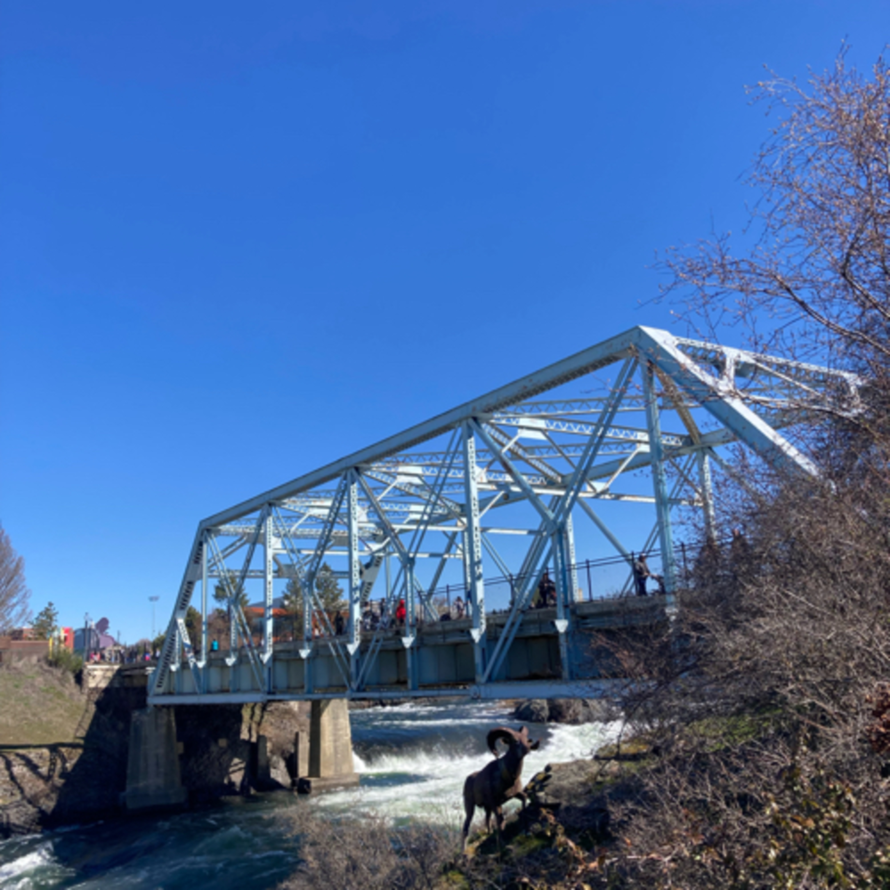 694~TOTD #225🪑Coaches HOF or Not❓Kim Mulkey