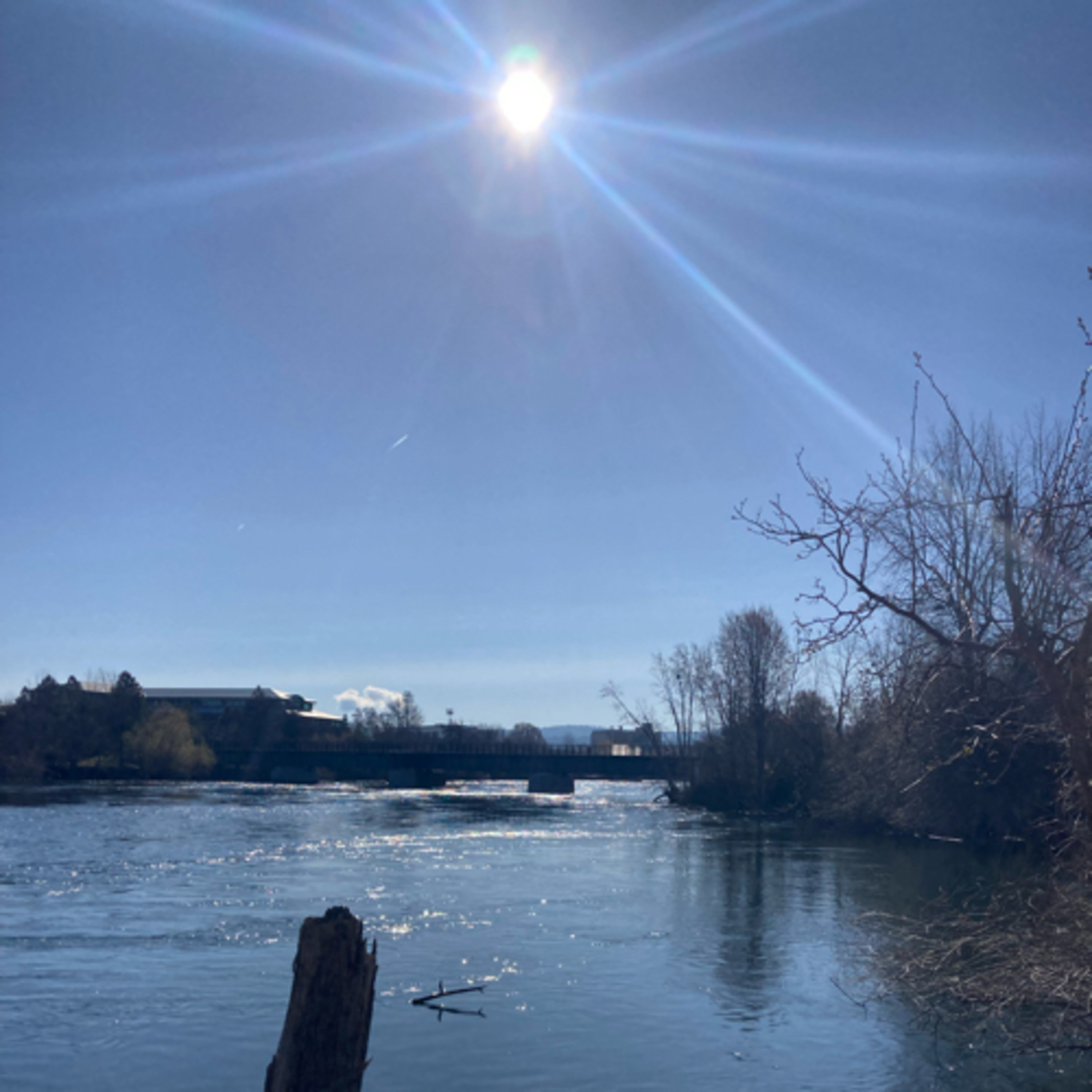 7️⃣0️⃣0️⃣‼️🎵Song #45🏀White Iverson