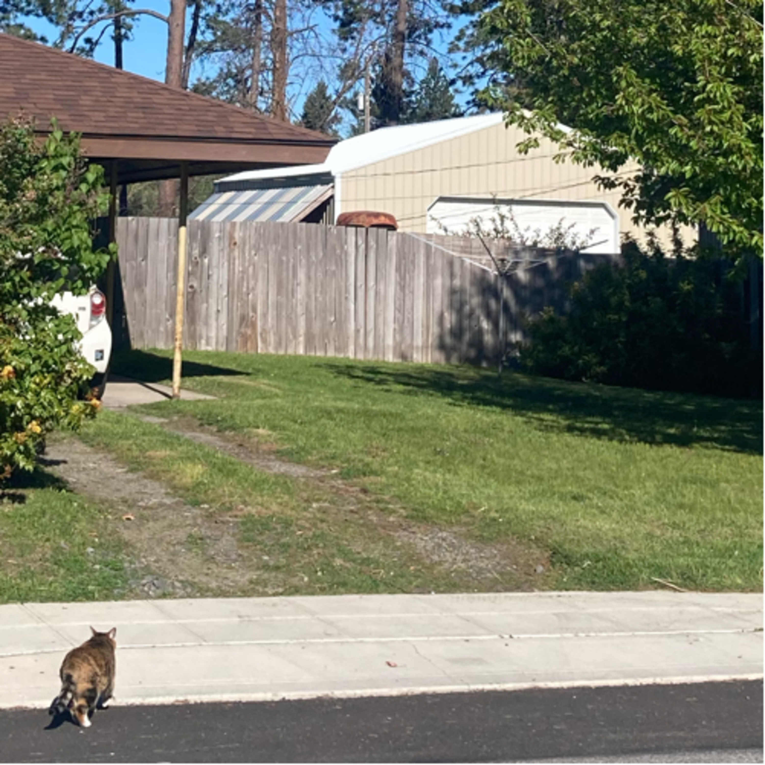 749🎵Song #50~Misunderstood Man