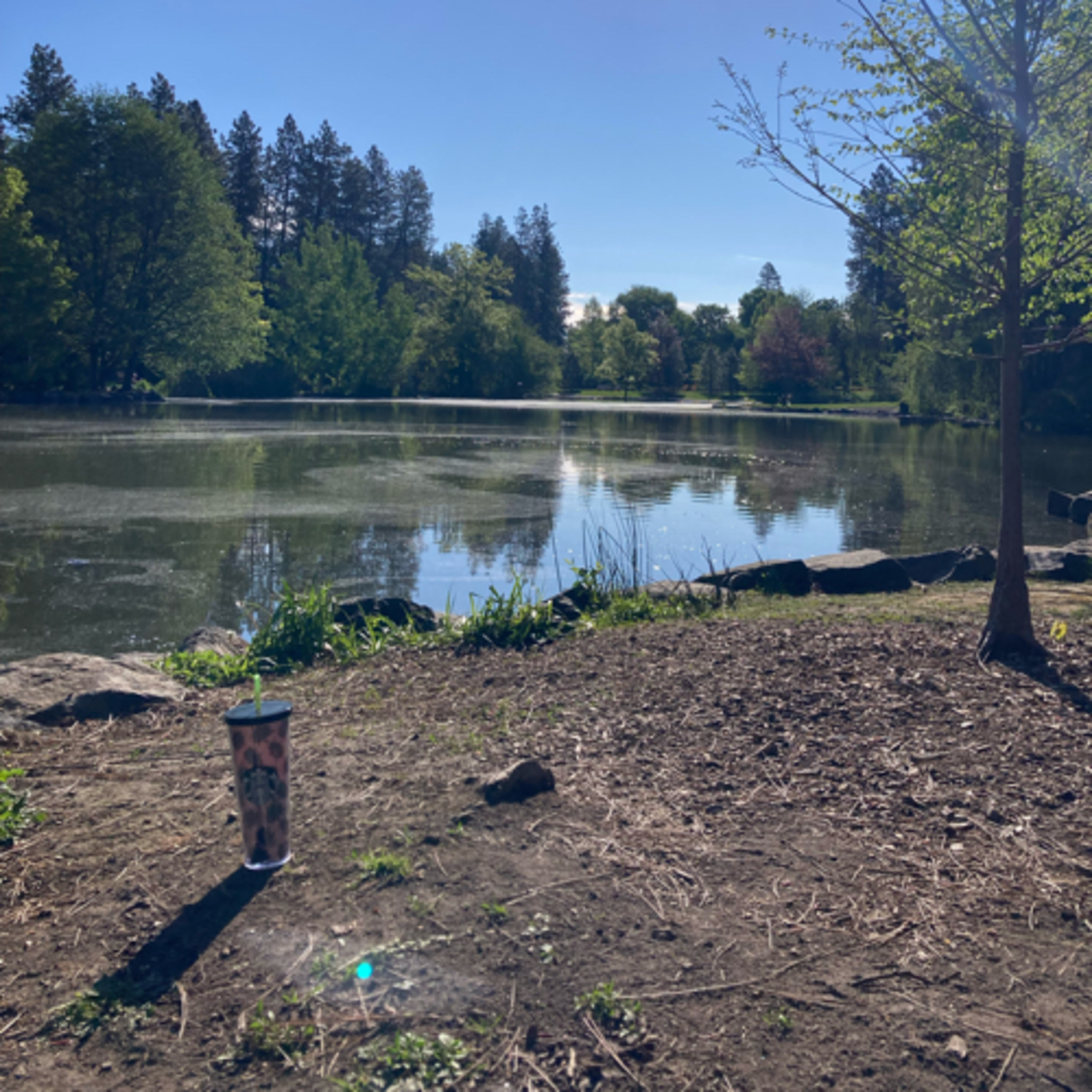 754~TOTD #274⛳️HOF or Not❓Xander Schauffele