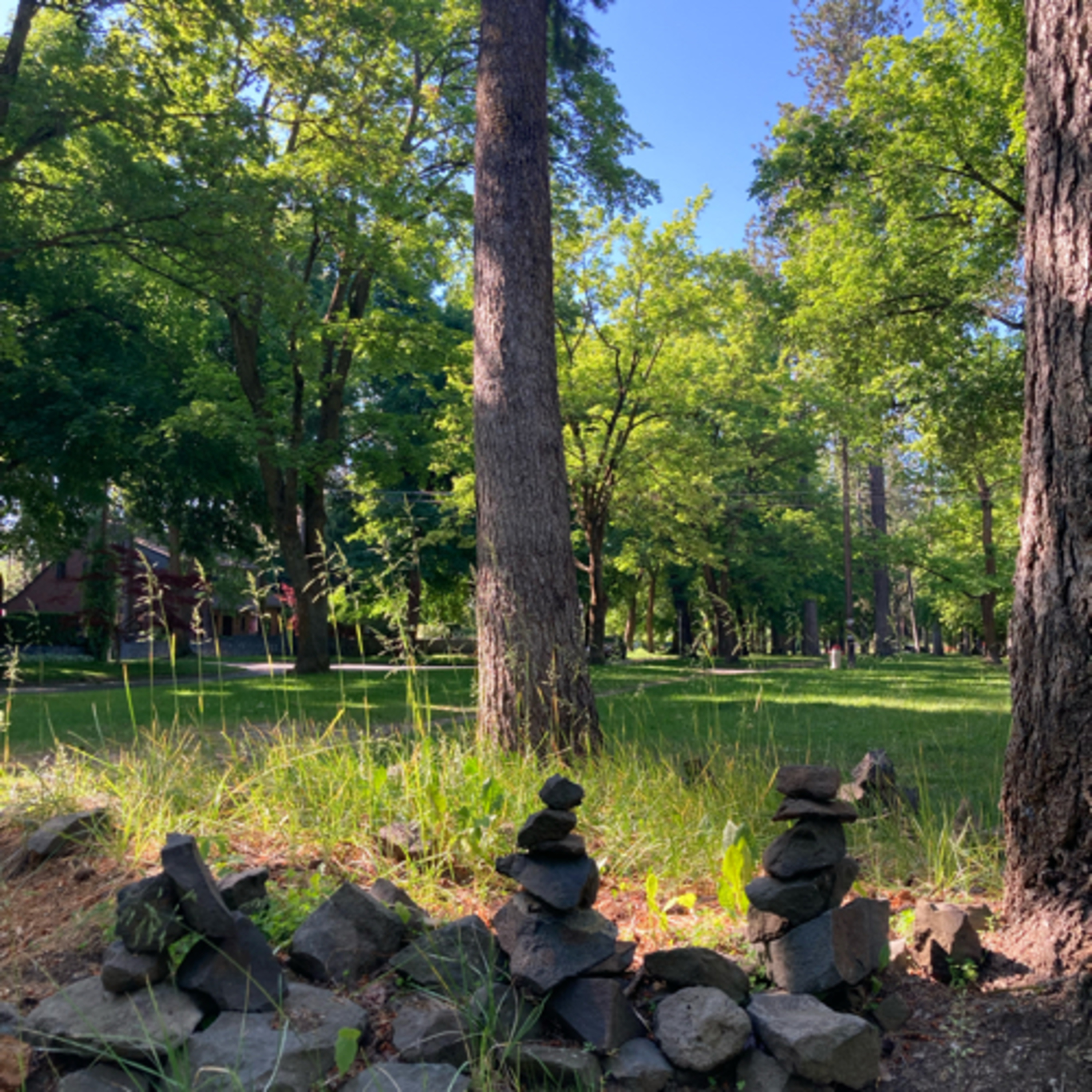 794~TOTD #311⚾️HOF or Not❓Willie Mays