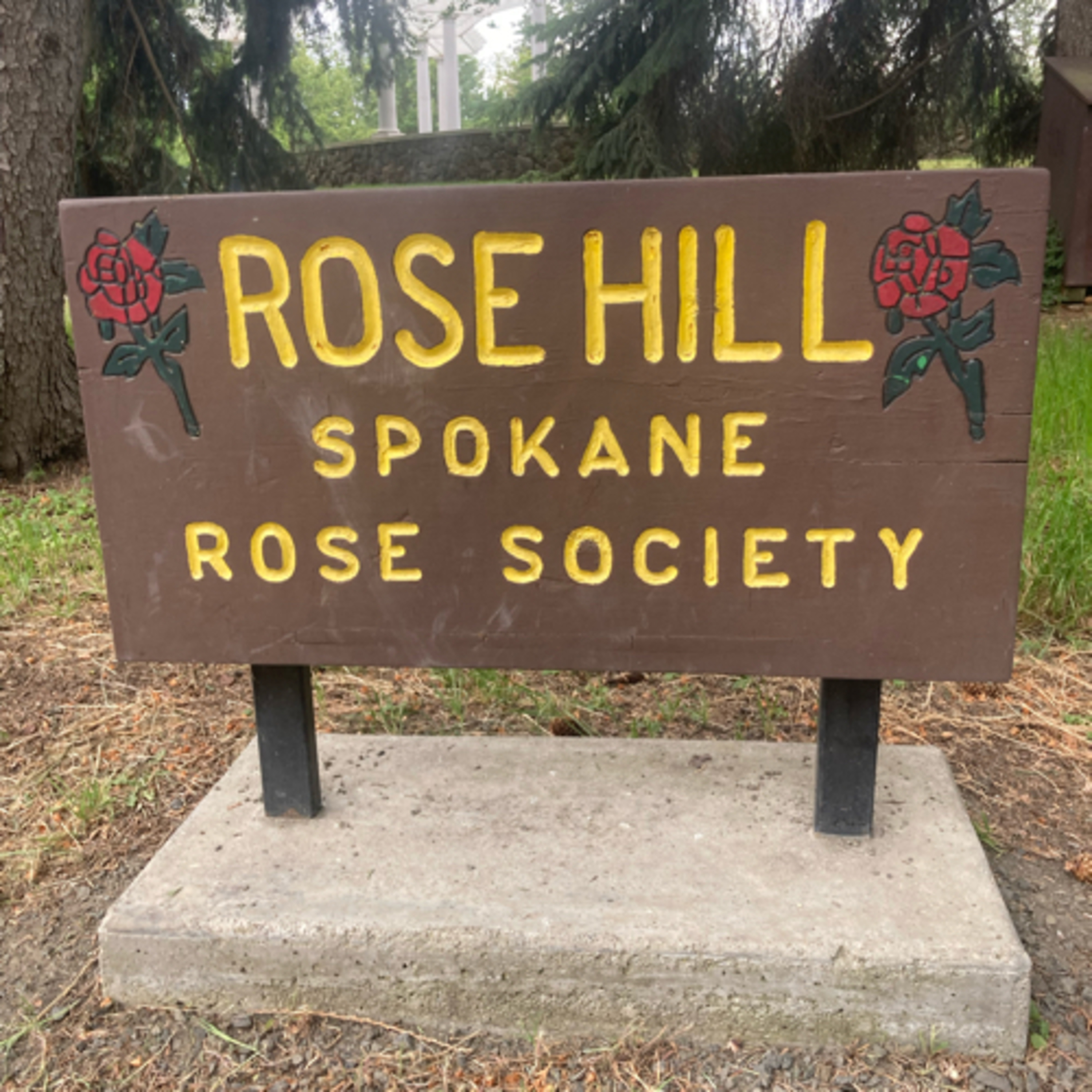 797~TOTD #314⚾️HOF or Not❓Francisco Lindor