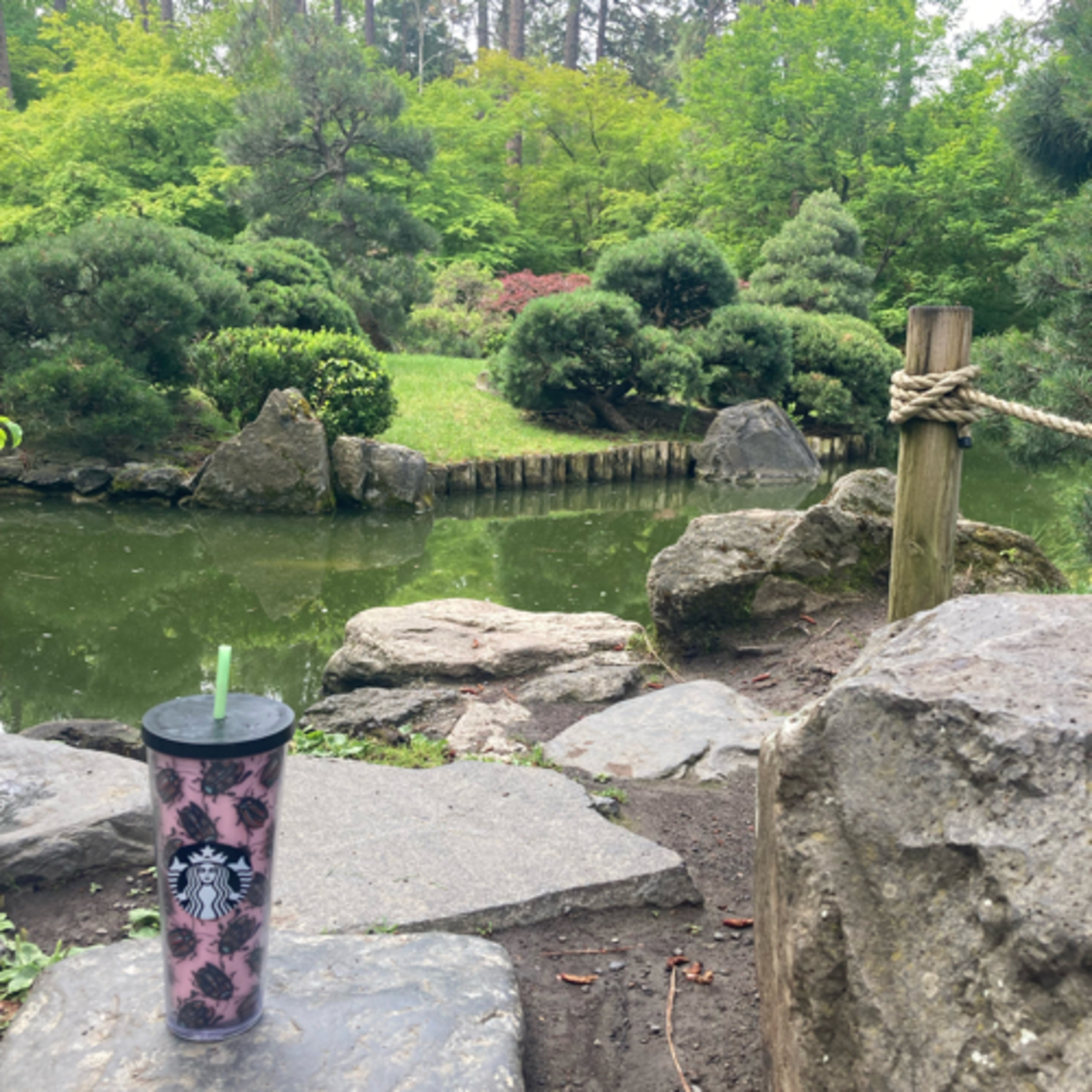 804~TOTD #320⚾️HOF or Not❓Andrew McCutchen