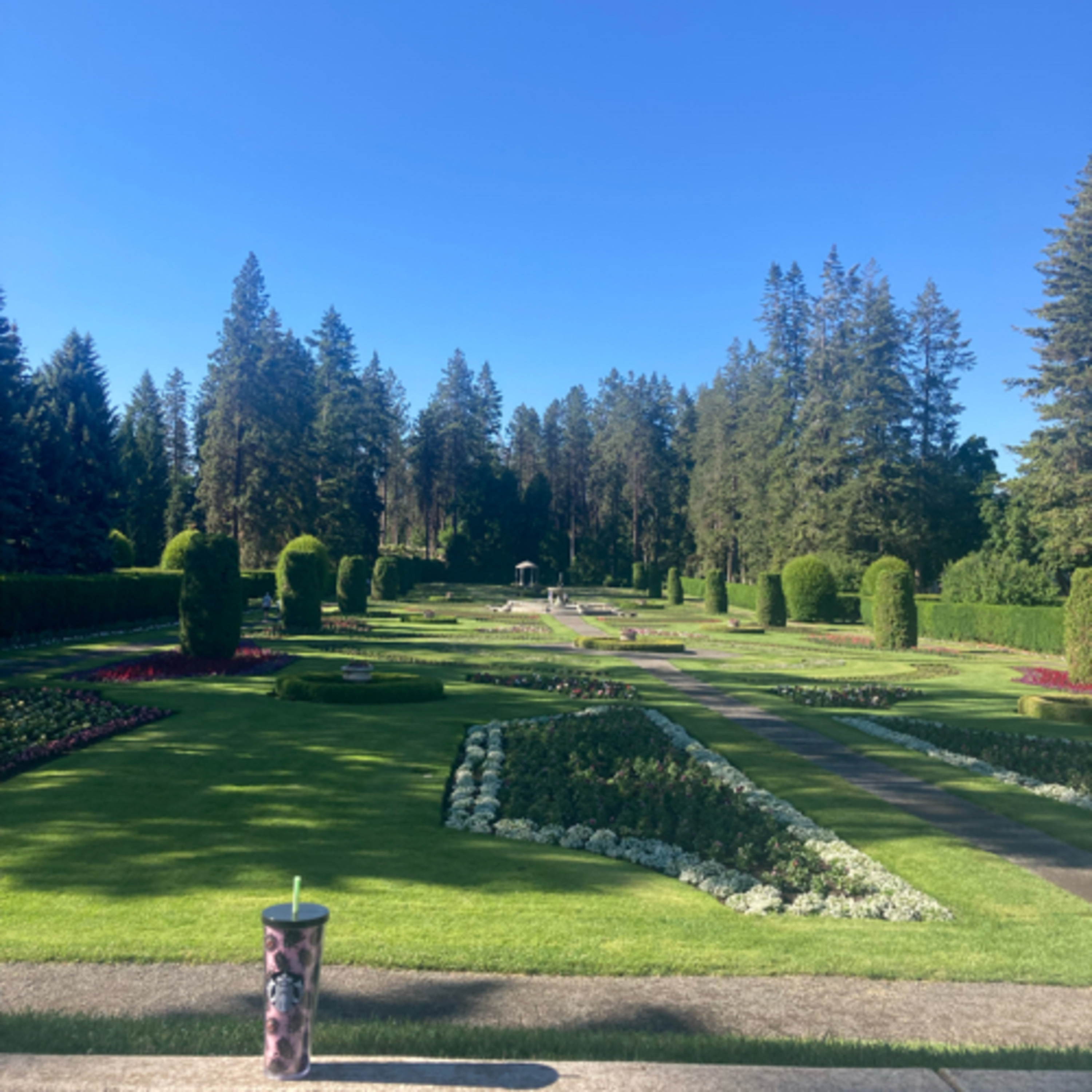 806~TOTD #322⚾️HOF or Not❓Dustin Pedroia