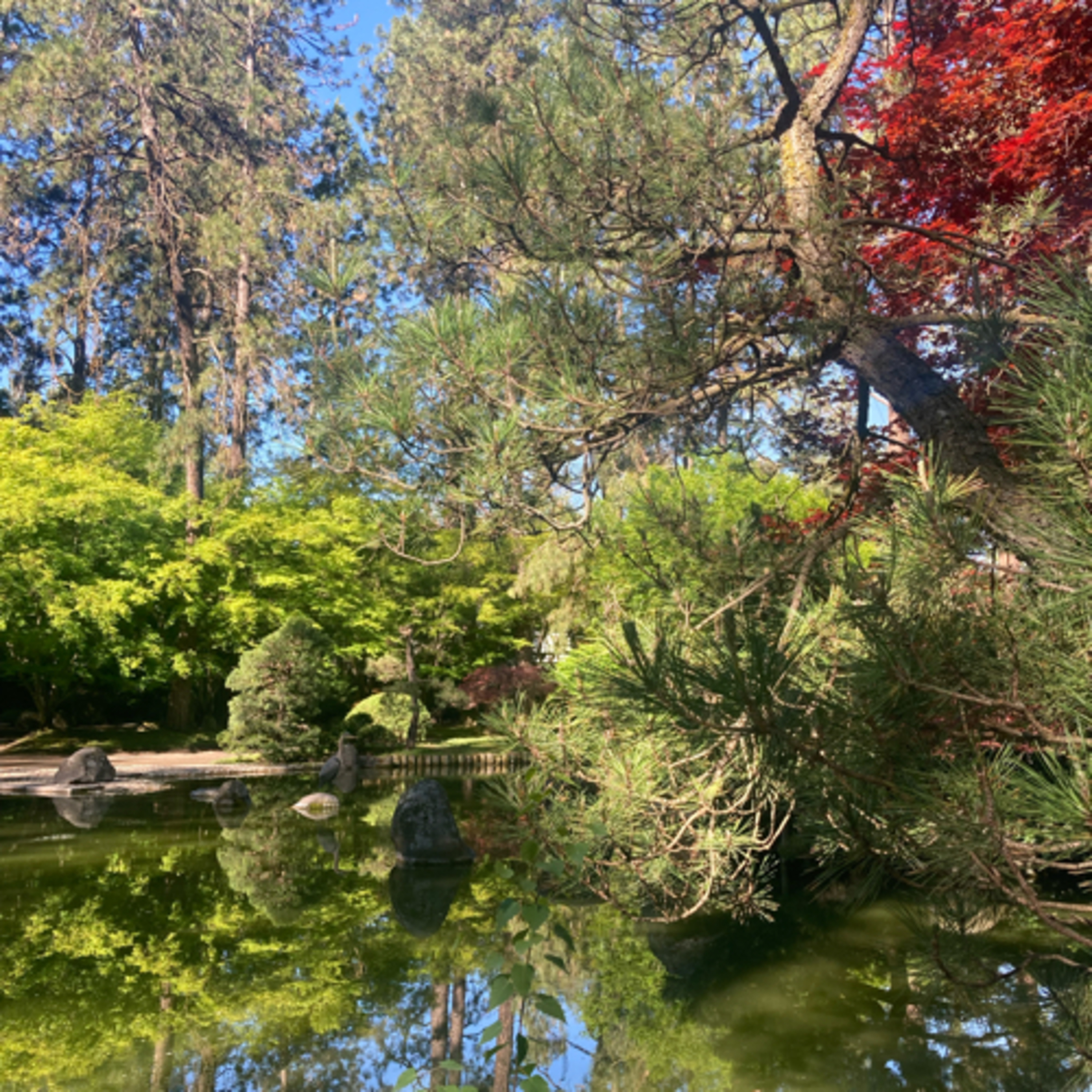 808~TOTD #324⚾️HOF or Not❓Nolan Arenado