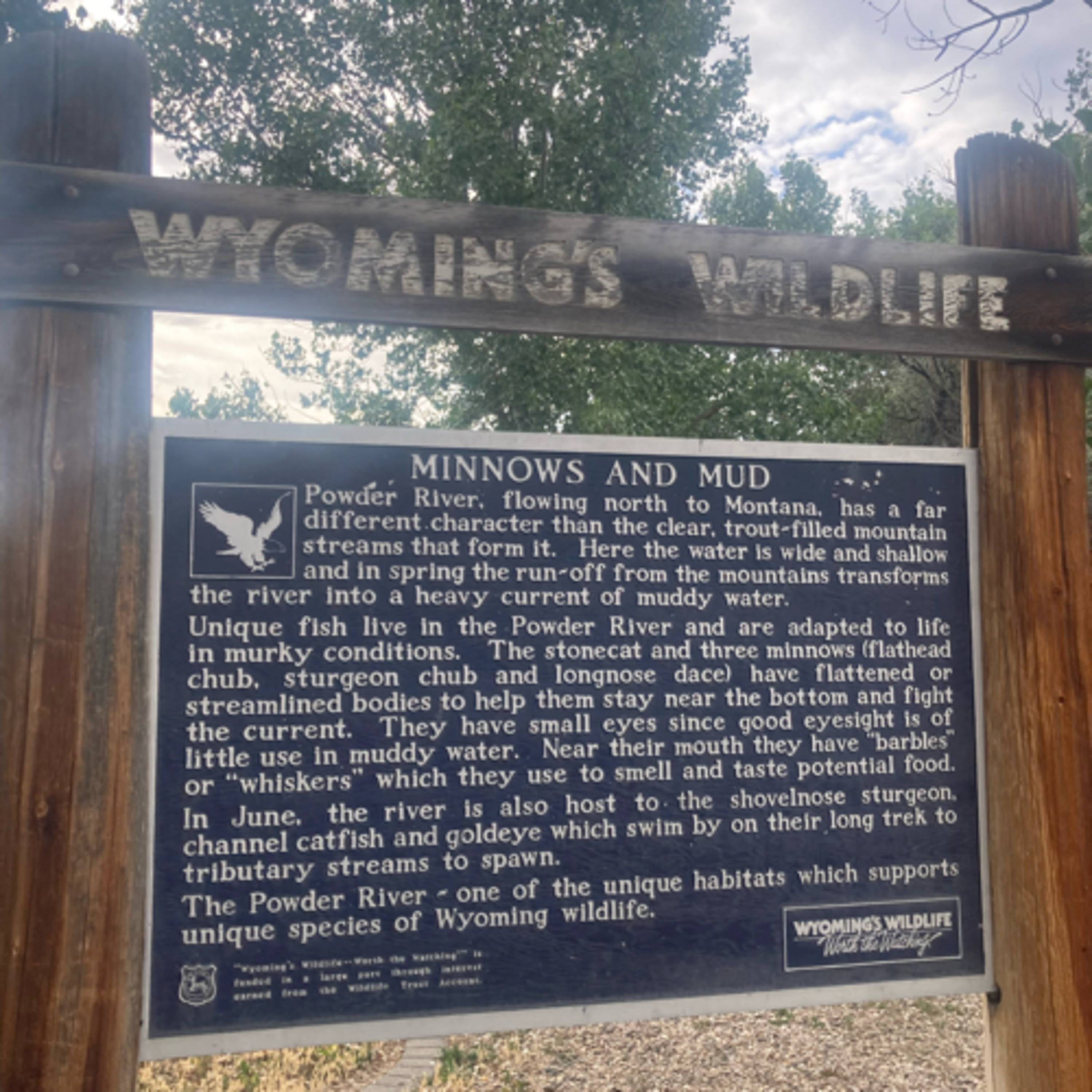 833🎵Song #58⛺️Hot Homeless Man