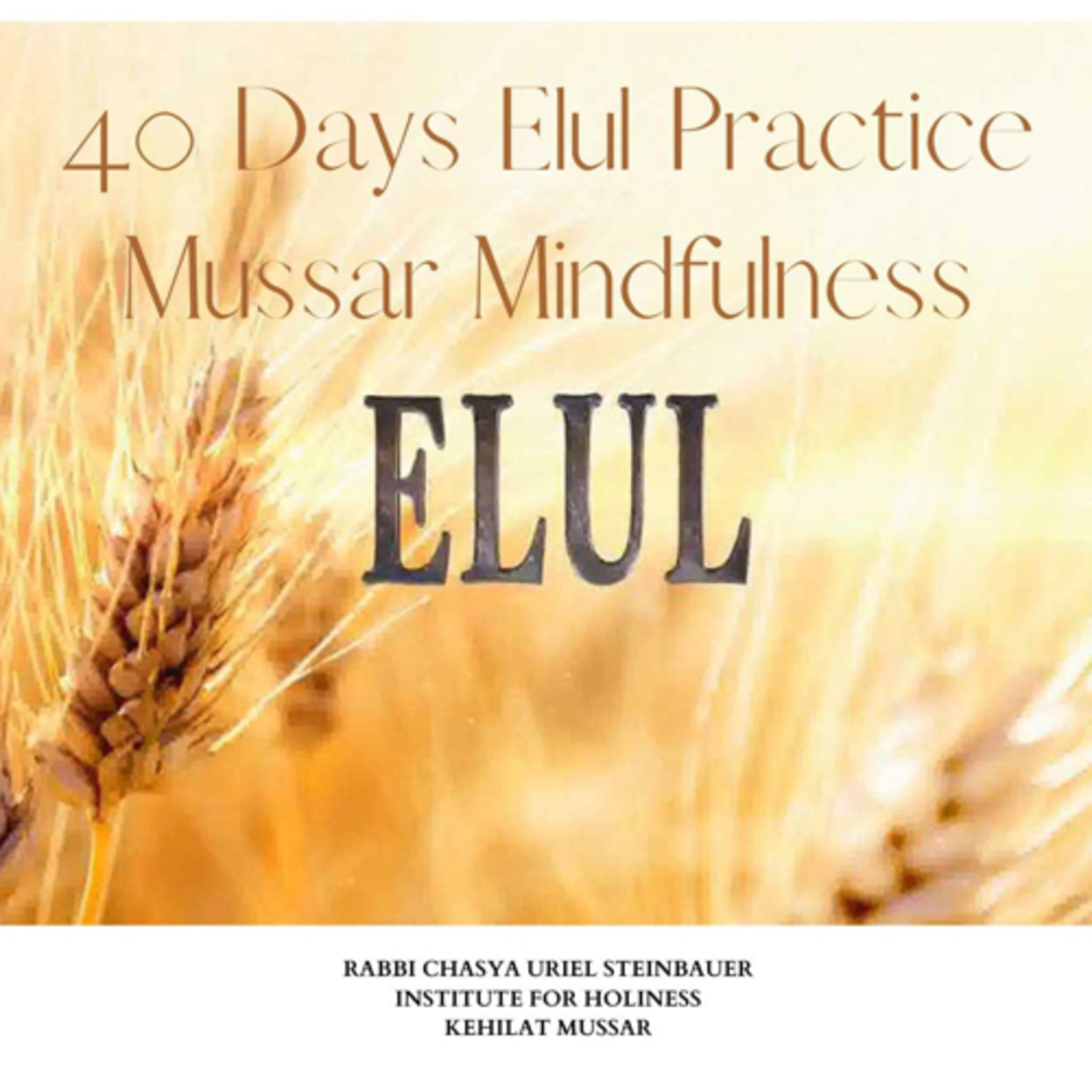Mussar Mindfulness with Rabbi Chasya of The Institute for Holiness: Kehilat Mussar