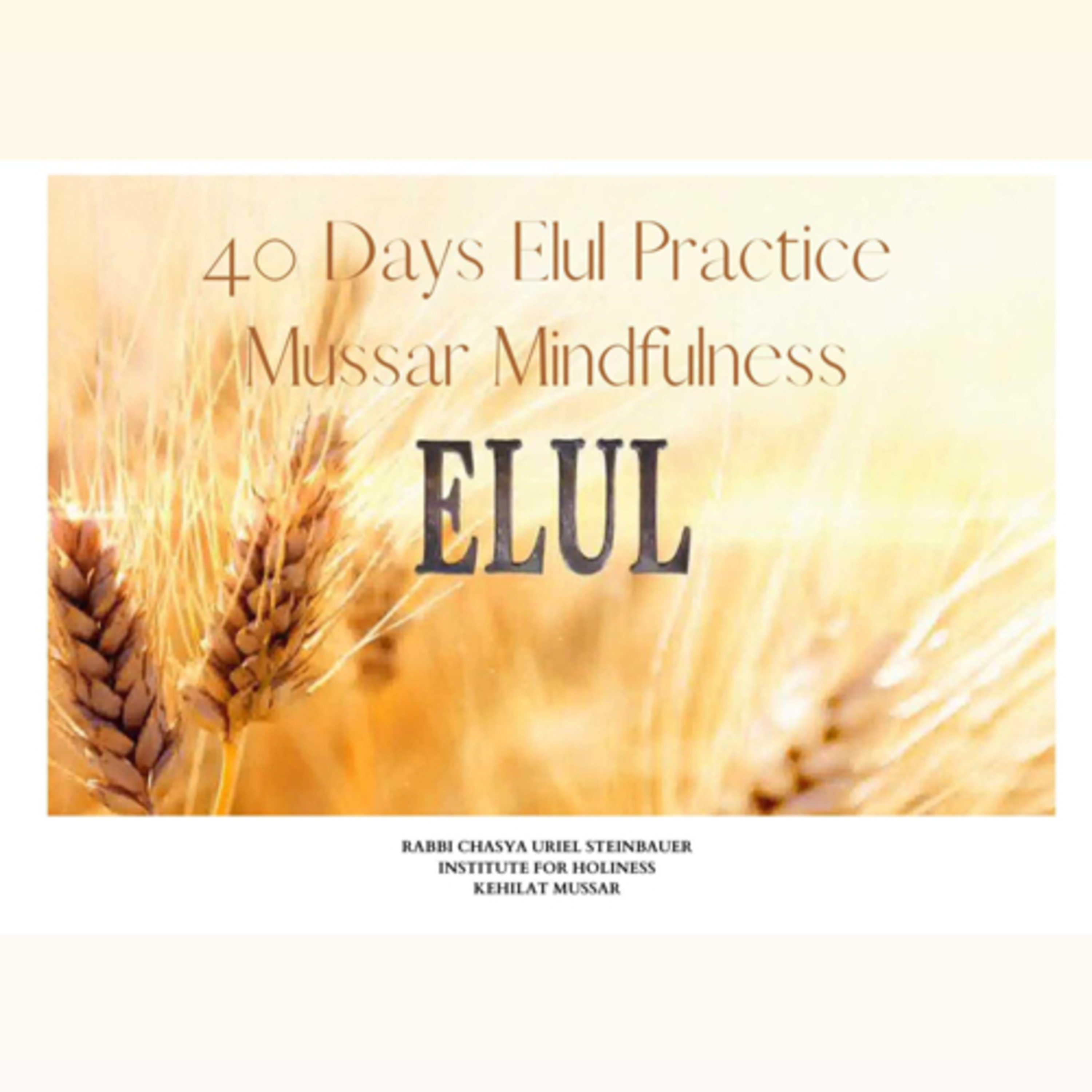 Mussar Mindfulness with Rabbi Chasya of The Institute for Holiness: Kehilat Mussar