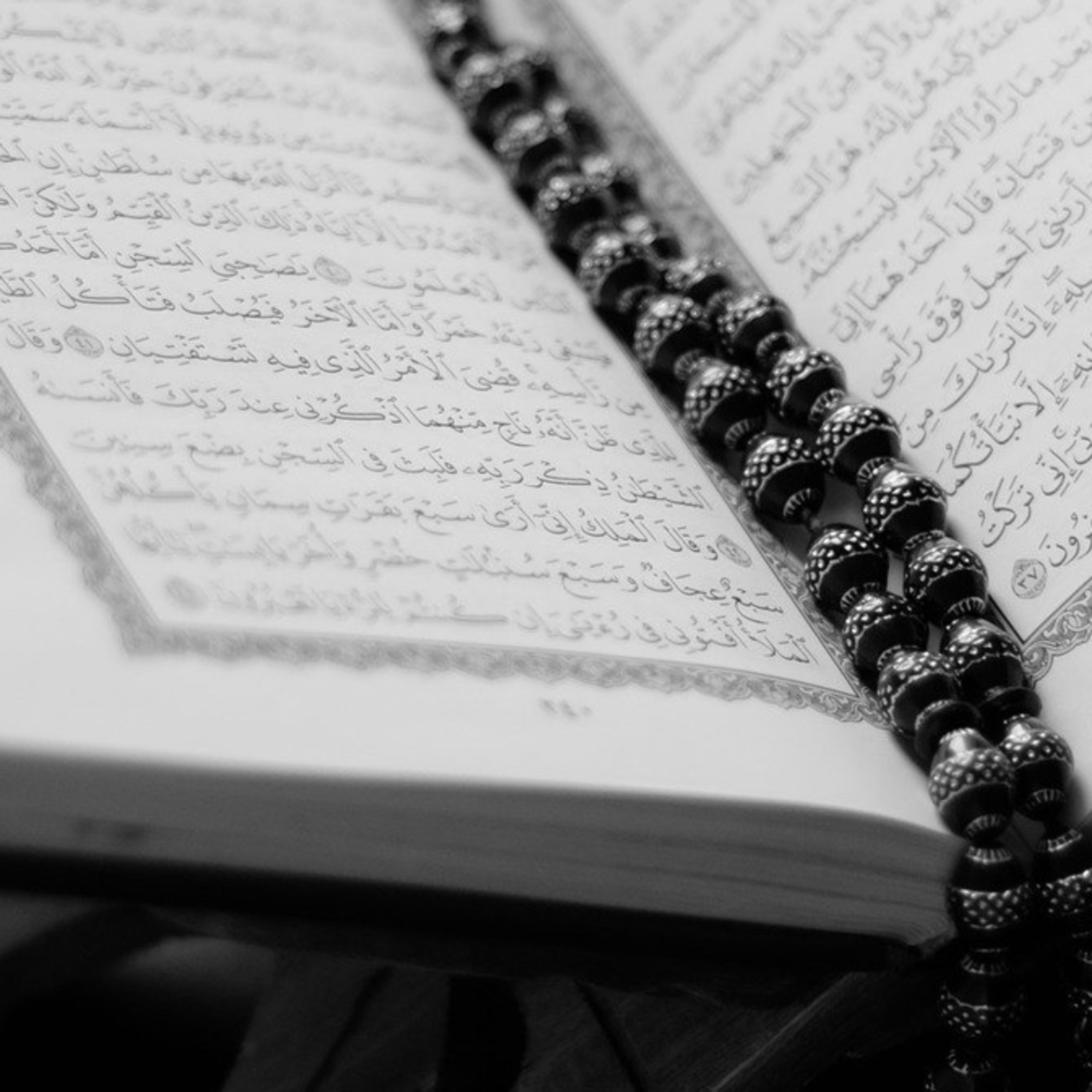 008 Al-Anfal || সূরা আল-আনফাল