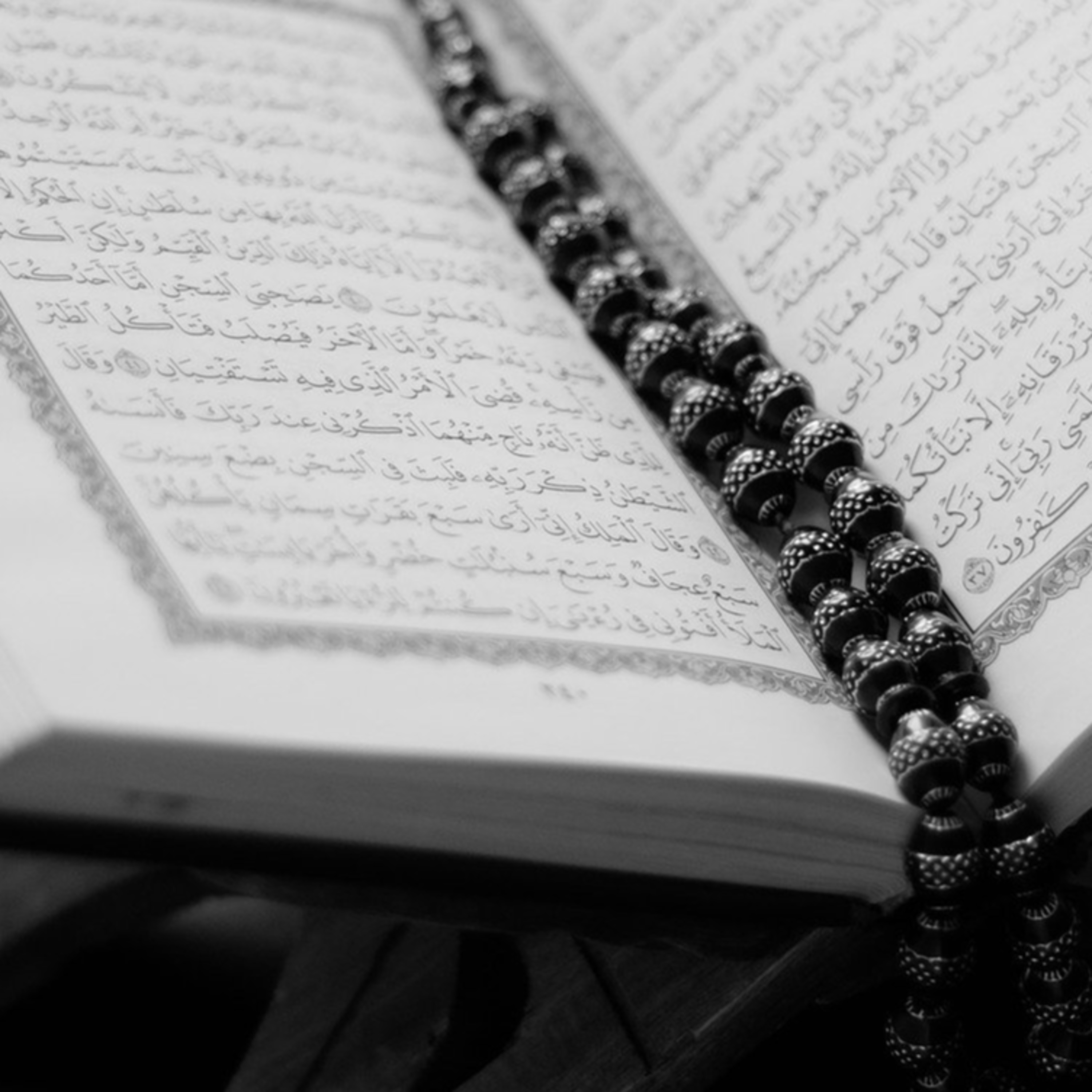 009 At-Tawbah || সূরা আত-তাওবাহ্‌