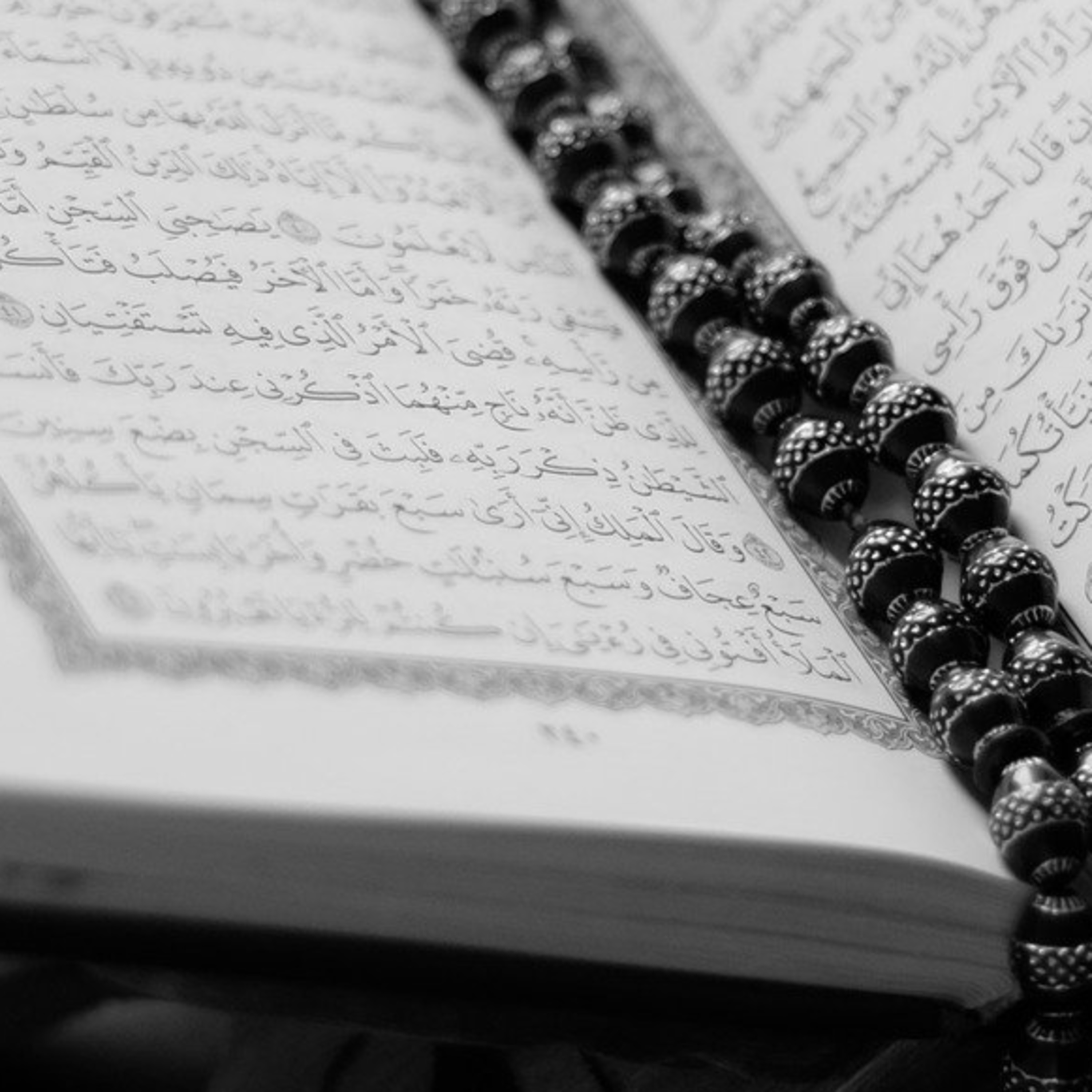 012 Yusuf || সূরা ইউসুফ