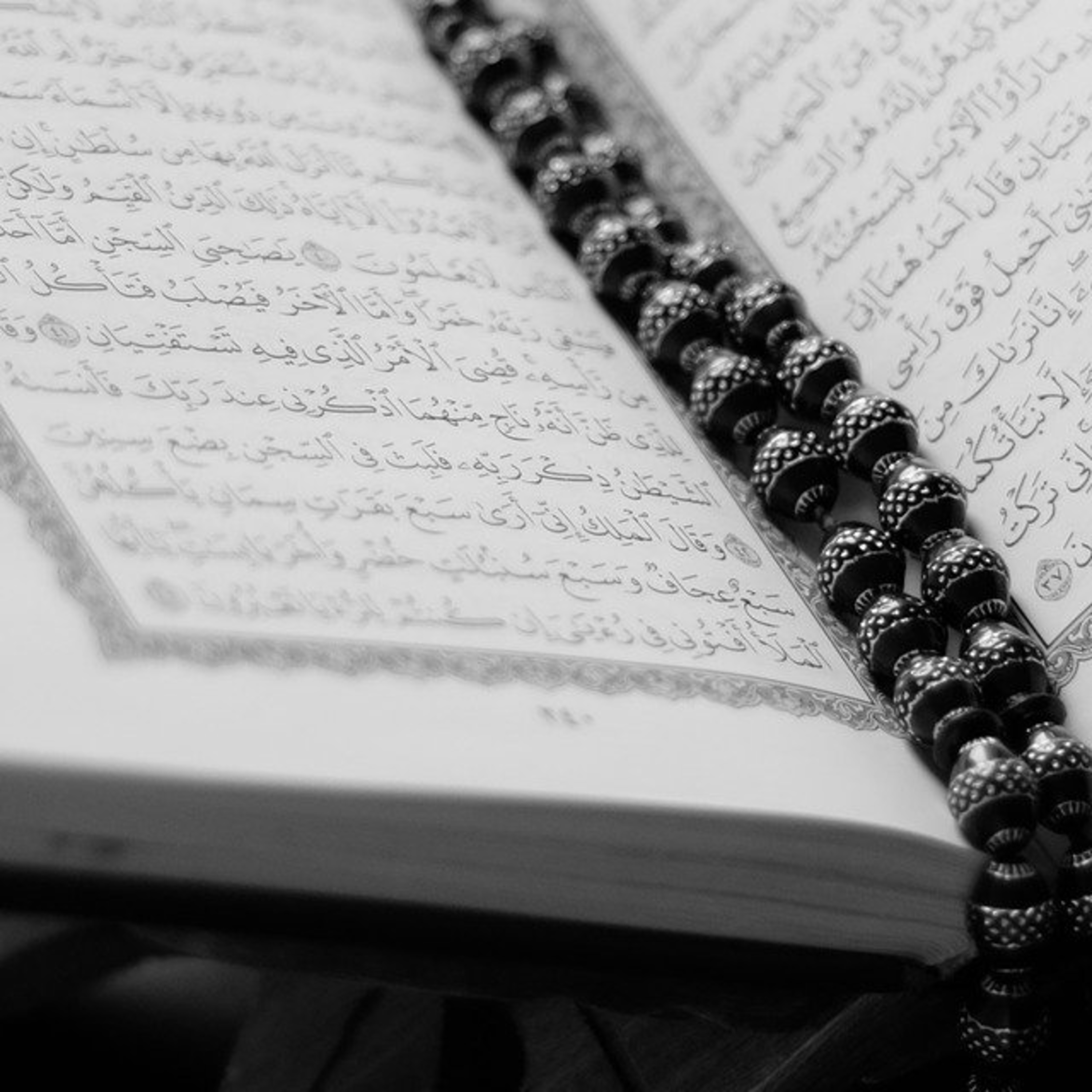 016 An-Nahl || সূরা আন-নাহল