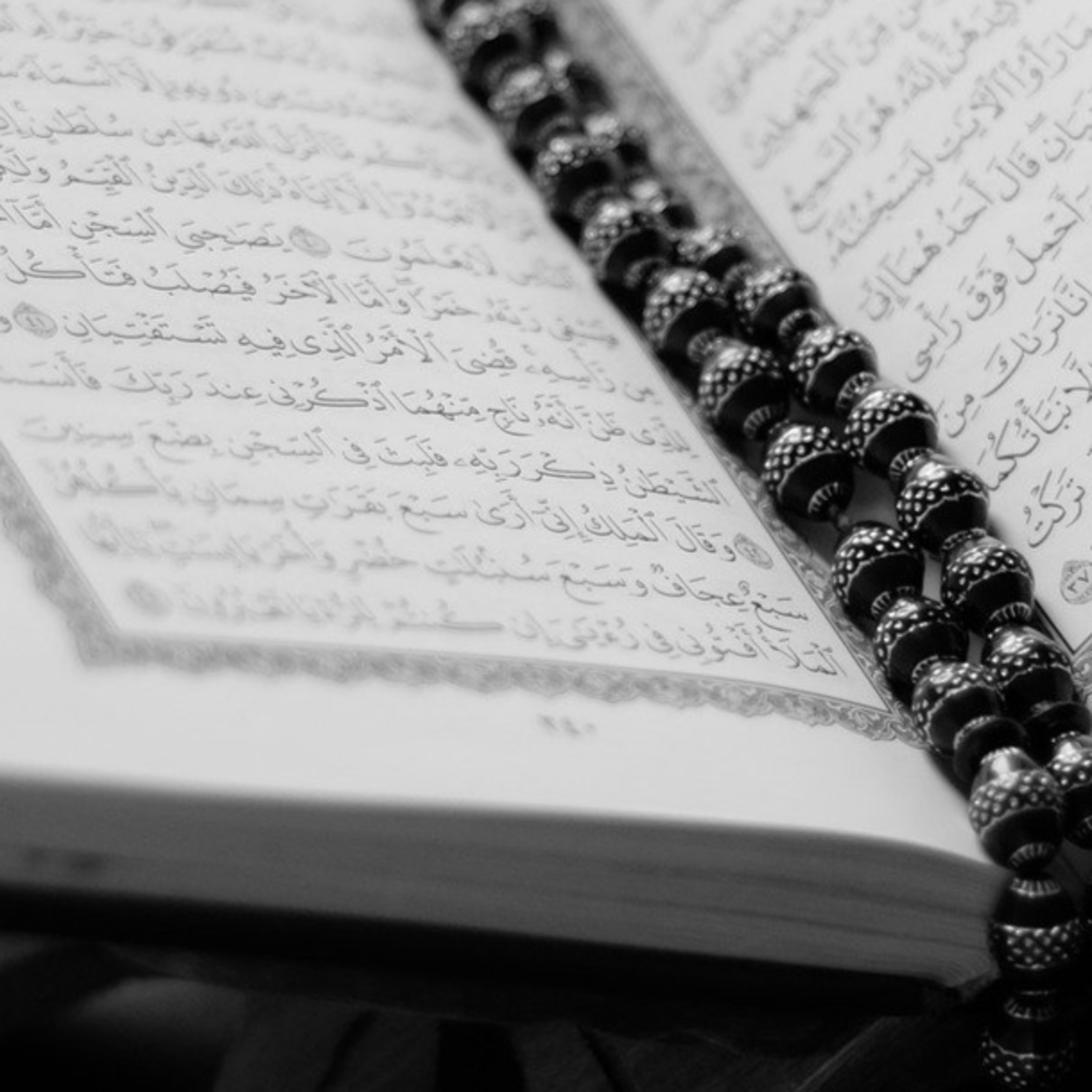 029 Al-Ankabut || সূরা আল-আনকাবূত